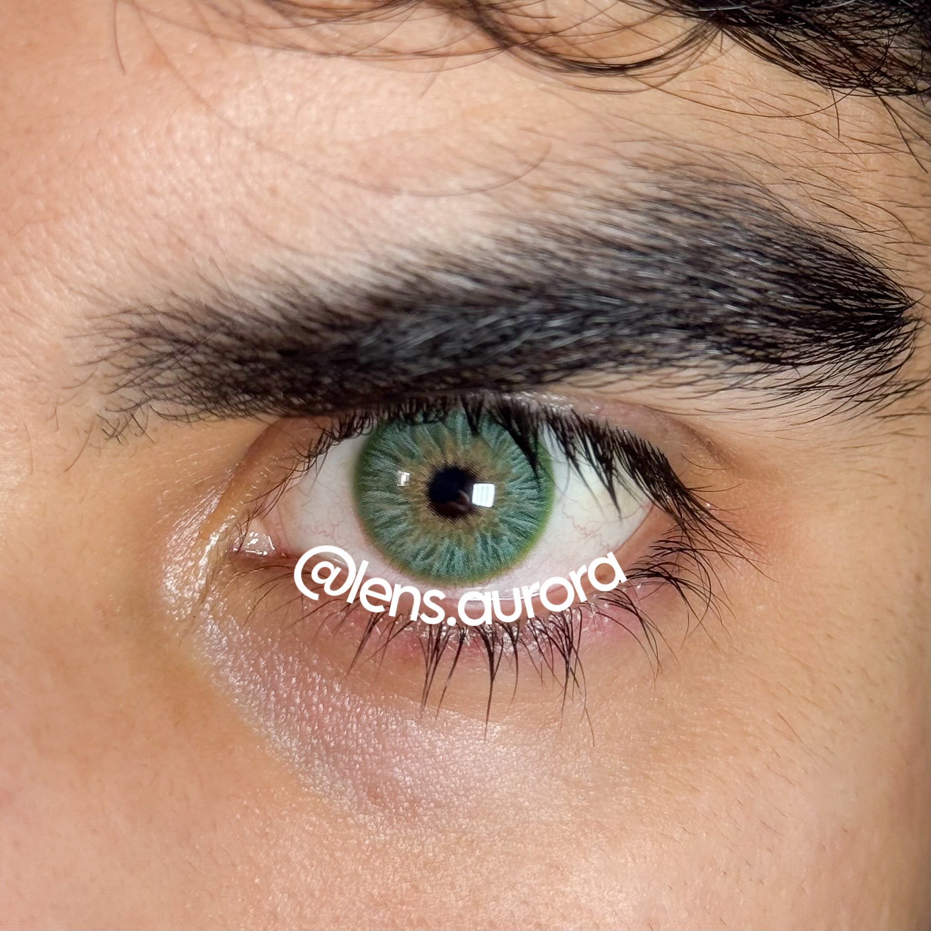 AVATAR GREEN - URBAN LAYER