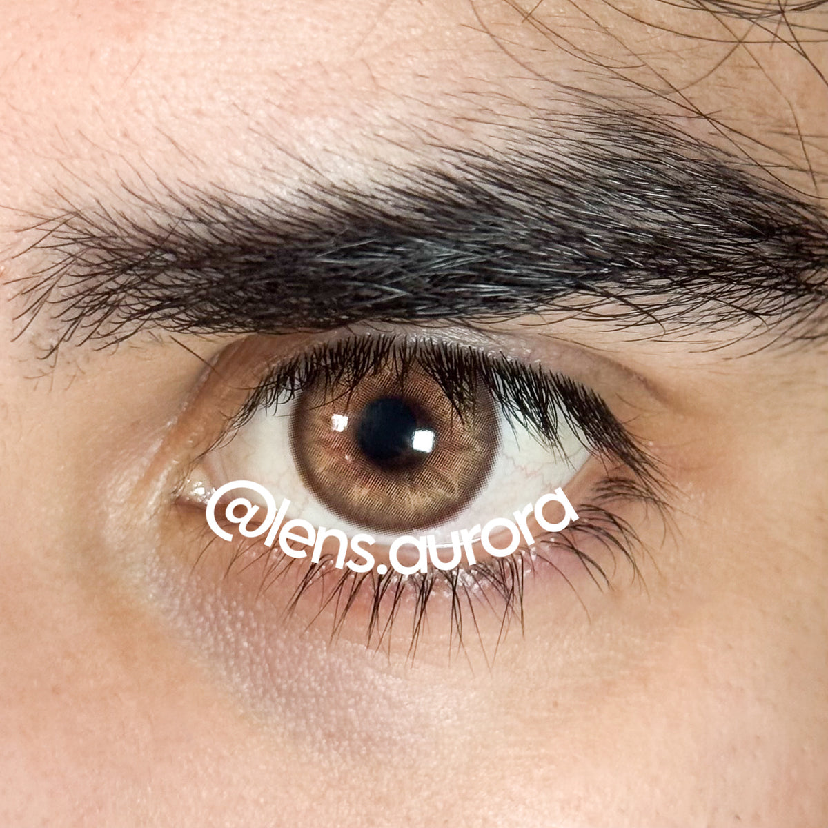 ASIAN BROWN