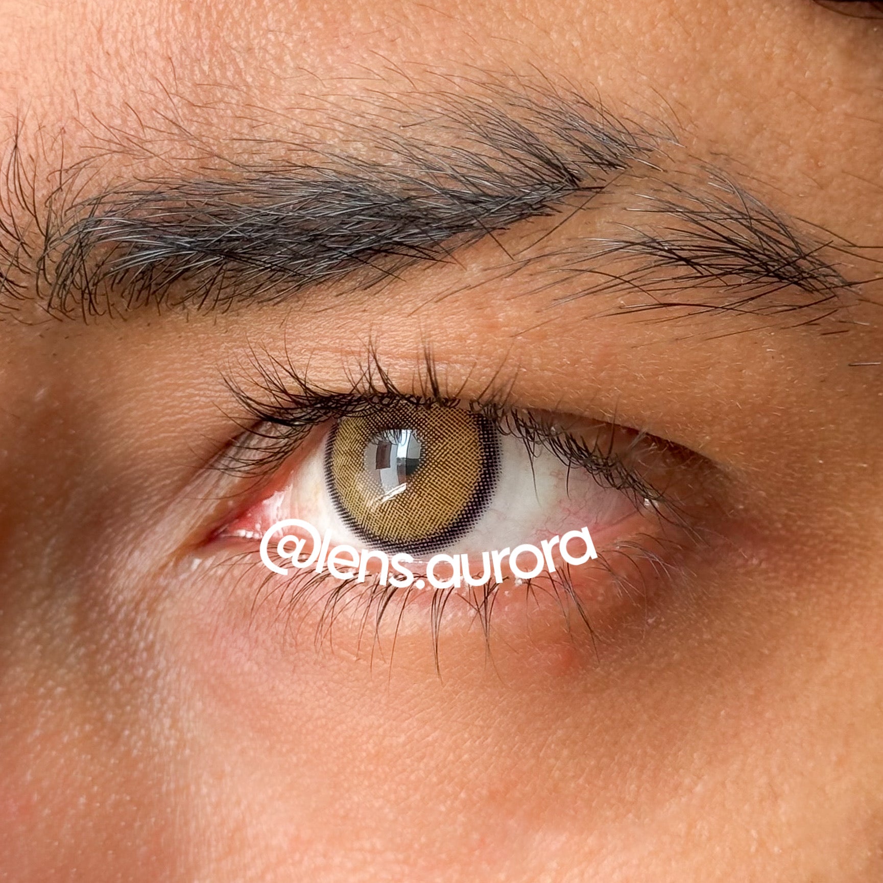 BROWN FLARE
