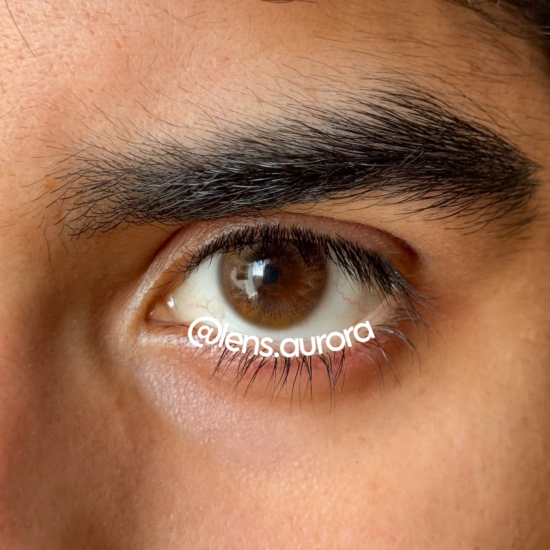 GLOOMY BROWN