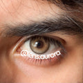 GLAZE GRAY