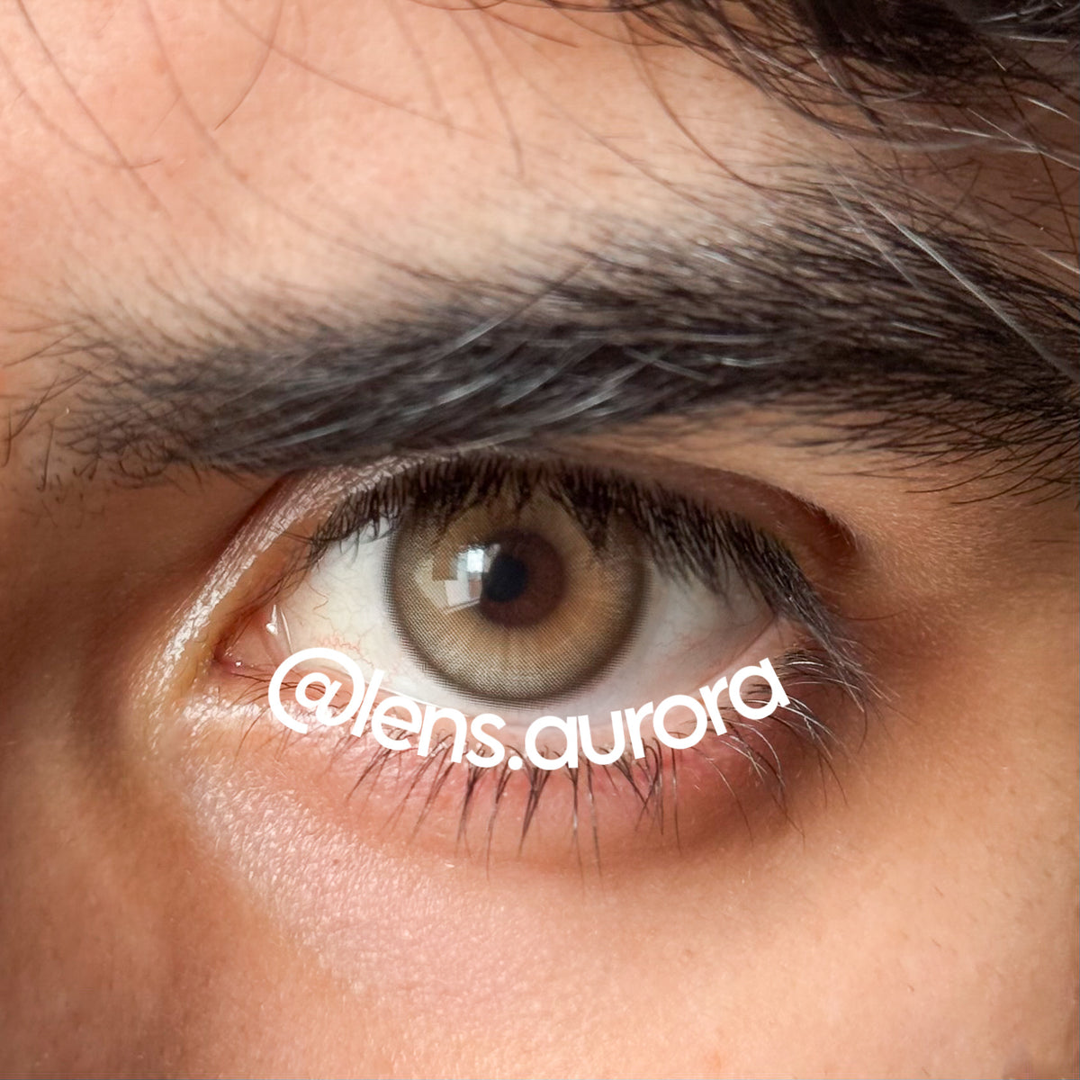 GLAZE GRAY