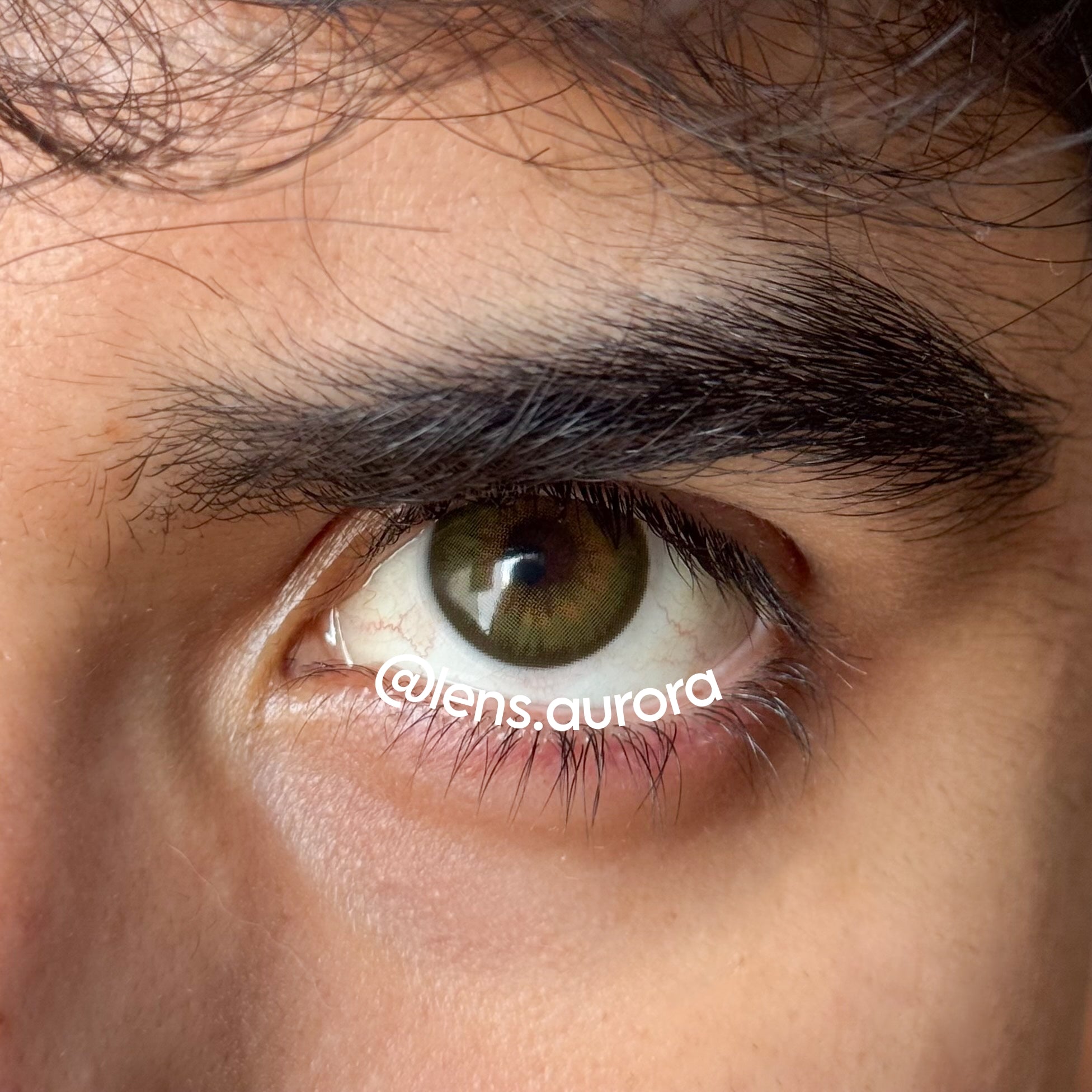 MOCHA GREEN