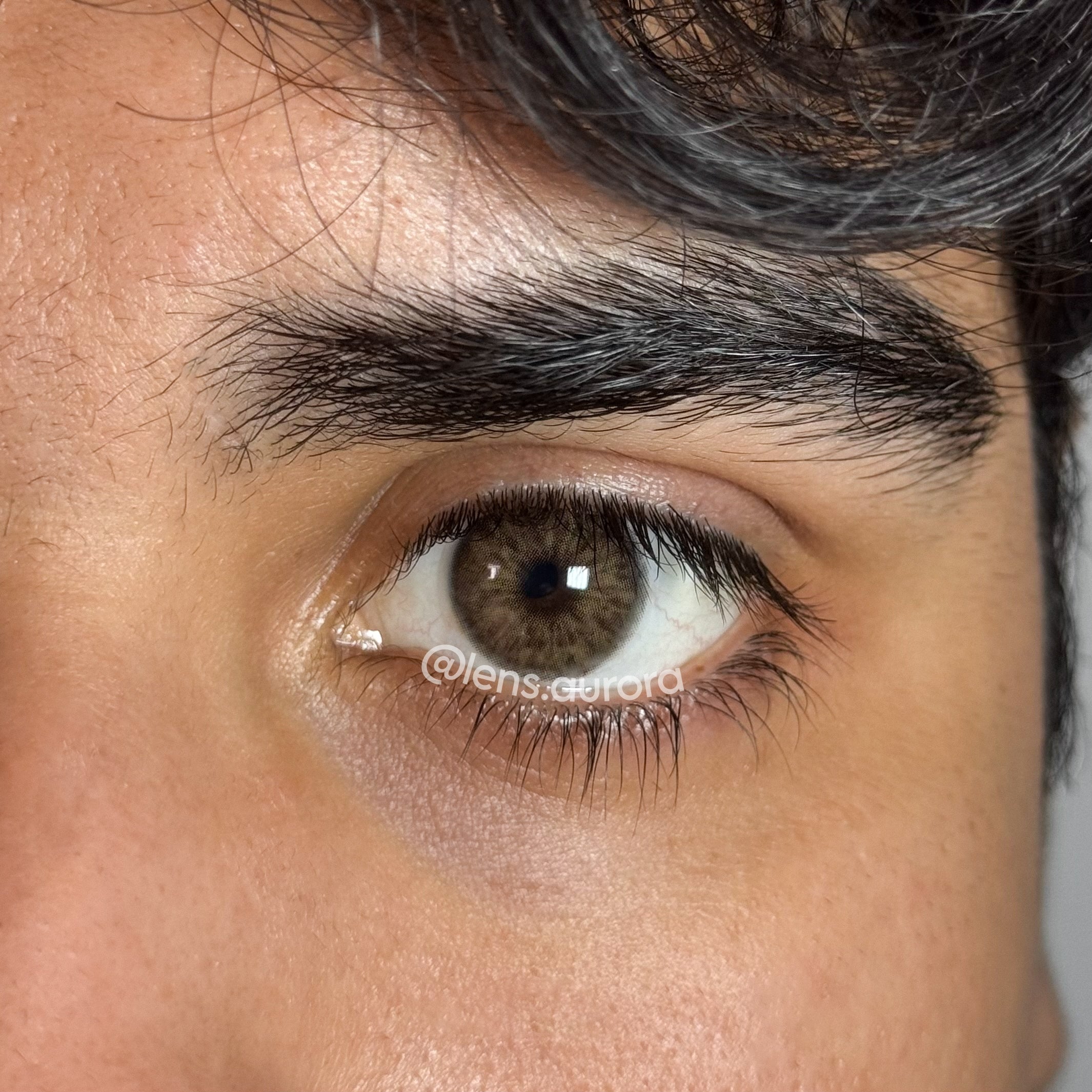 CHAGALL BROWN - URBAN LAYER