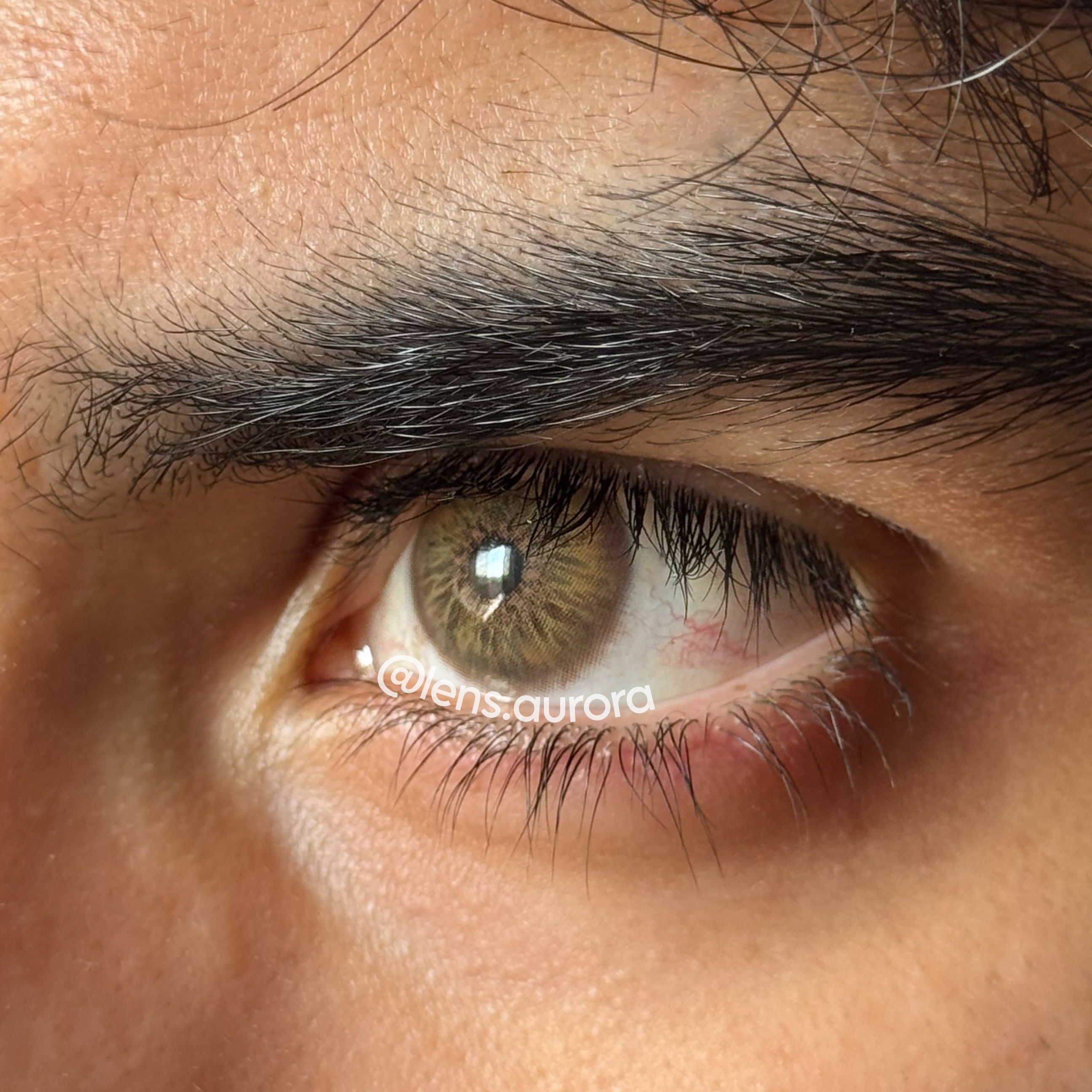 BREEZE HAZEL - URBAN LAYER