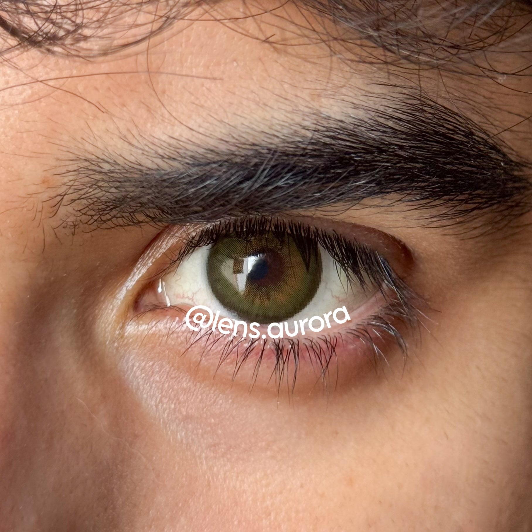 MOCHA GREEN
