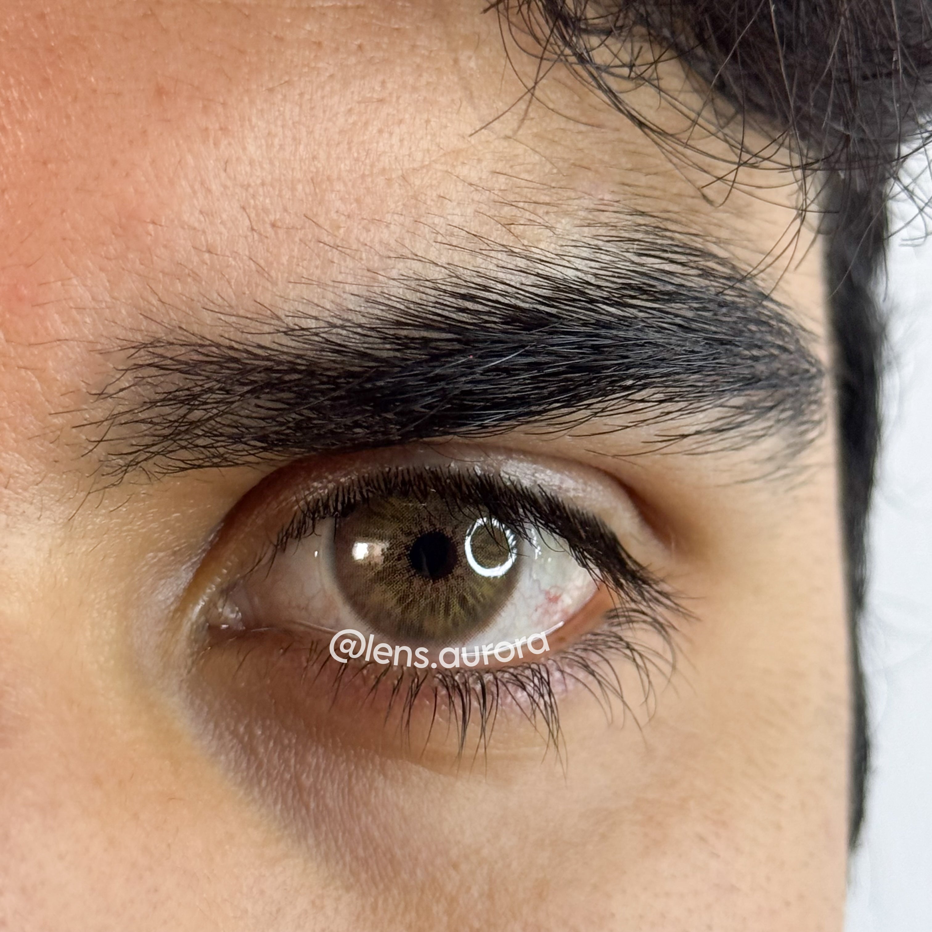 BREEZE HAZEL - URBAN LAYER