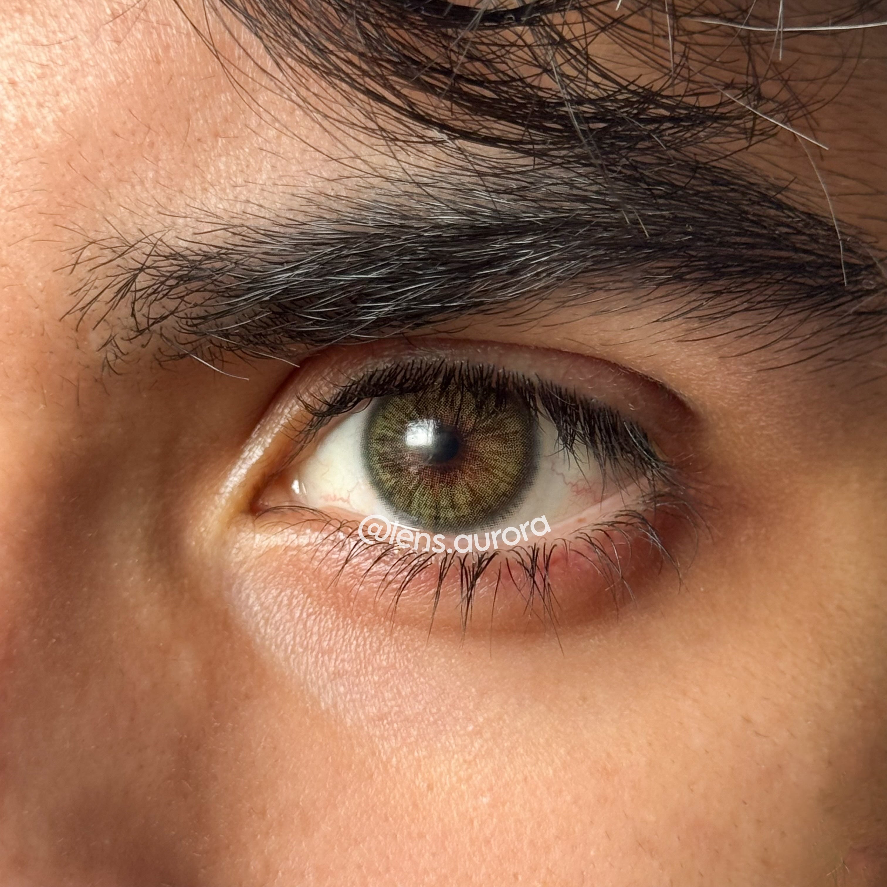 MEMPHIS GREEN - URBAN LAYER