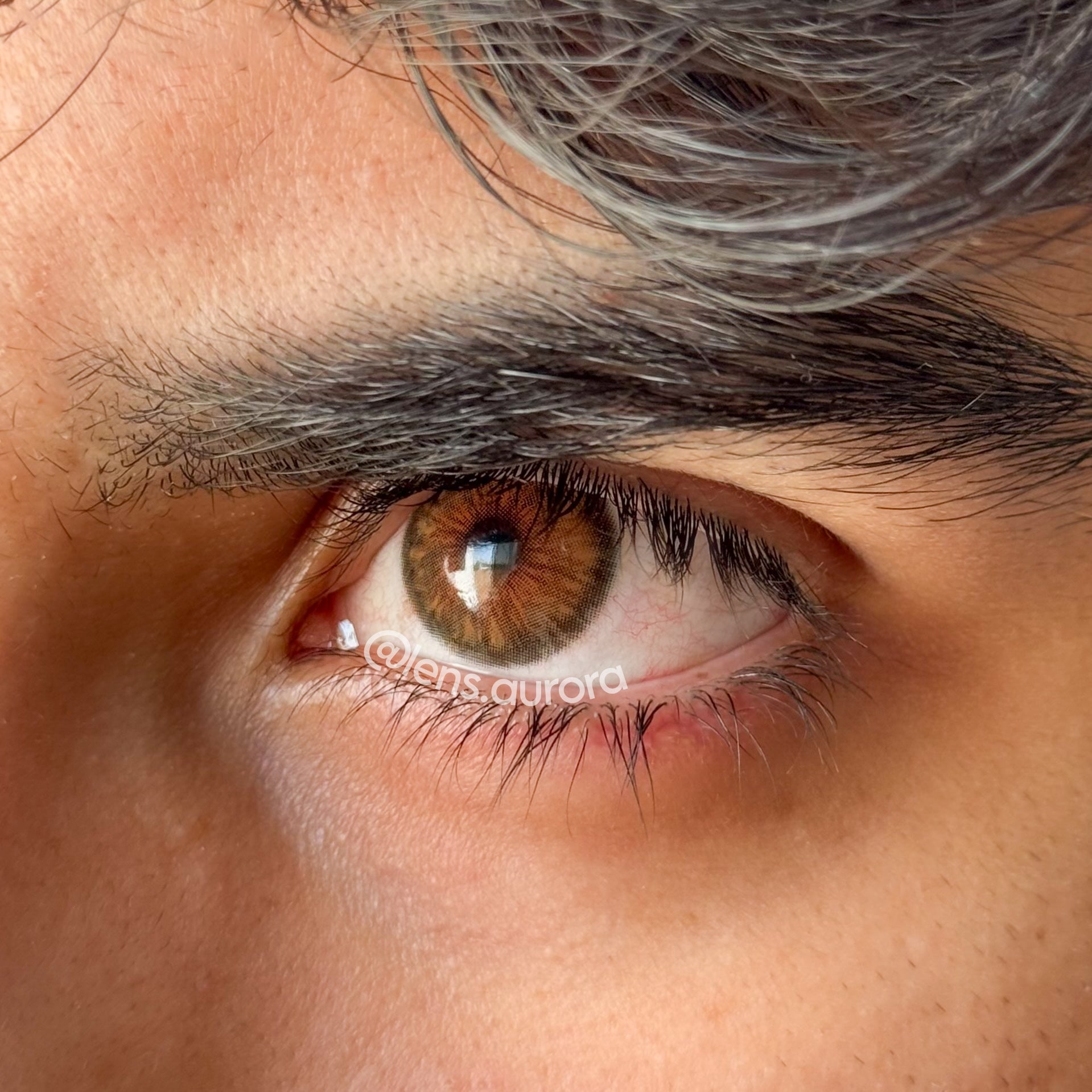 CLEOPATRA HAZEL - URBAN LAYER