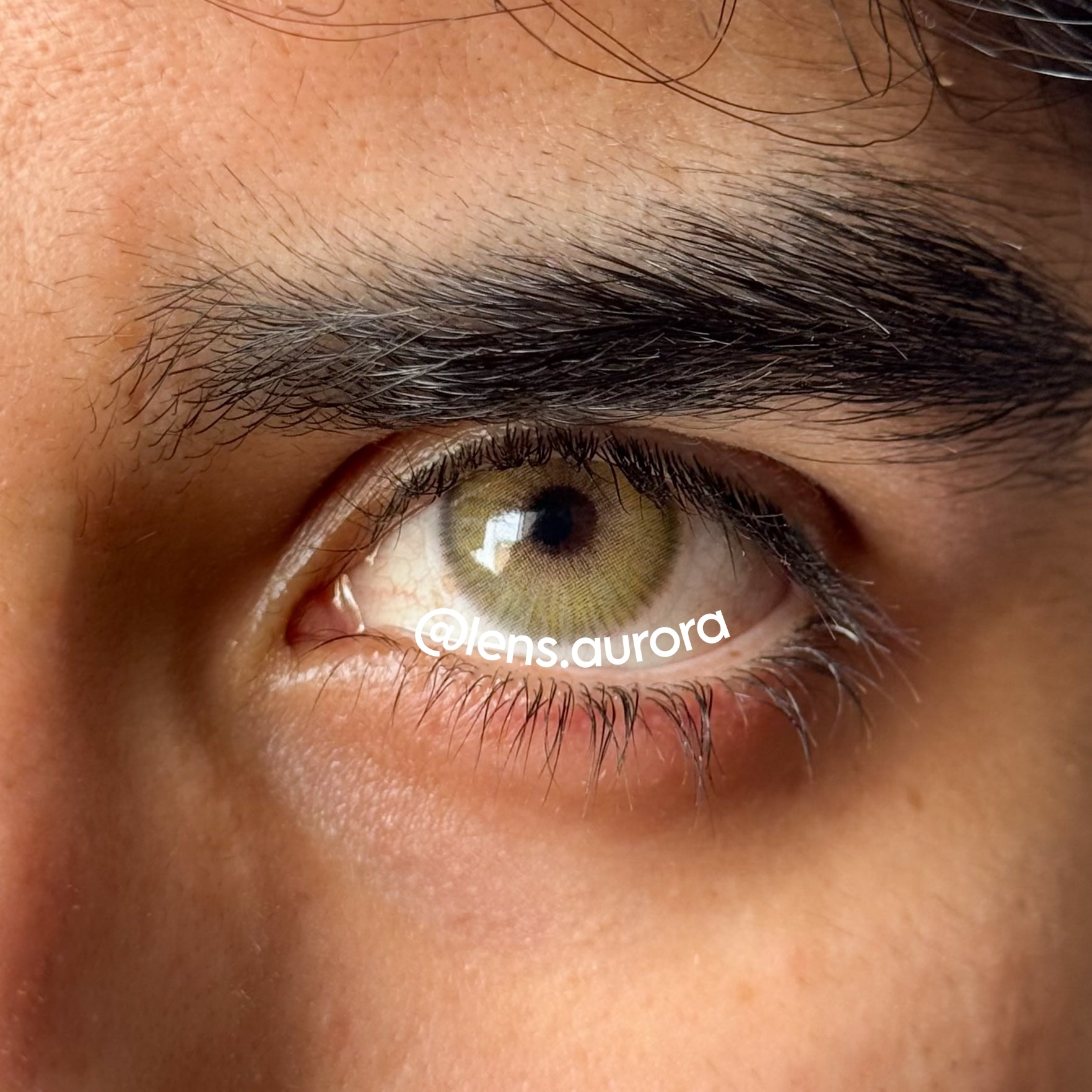 ANGELES N AMBER - URBAN LAYER