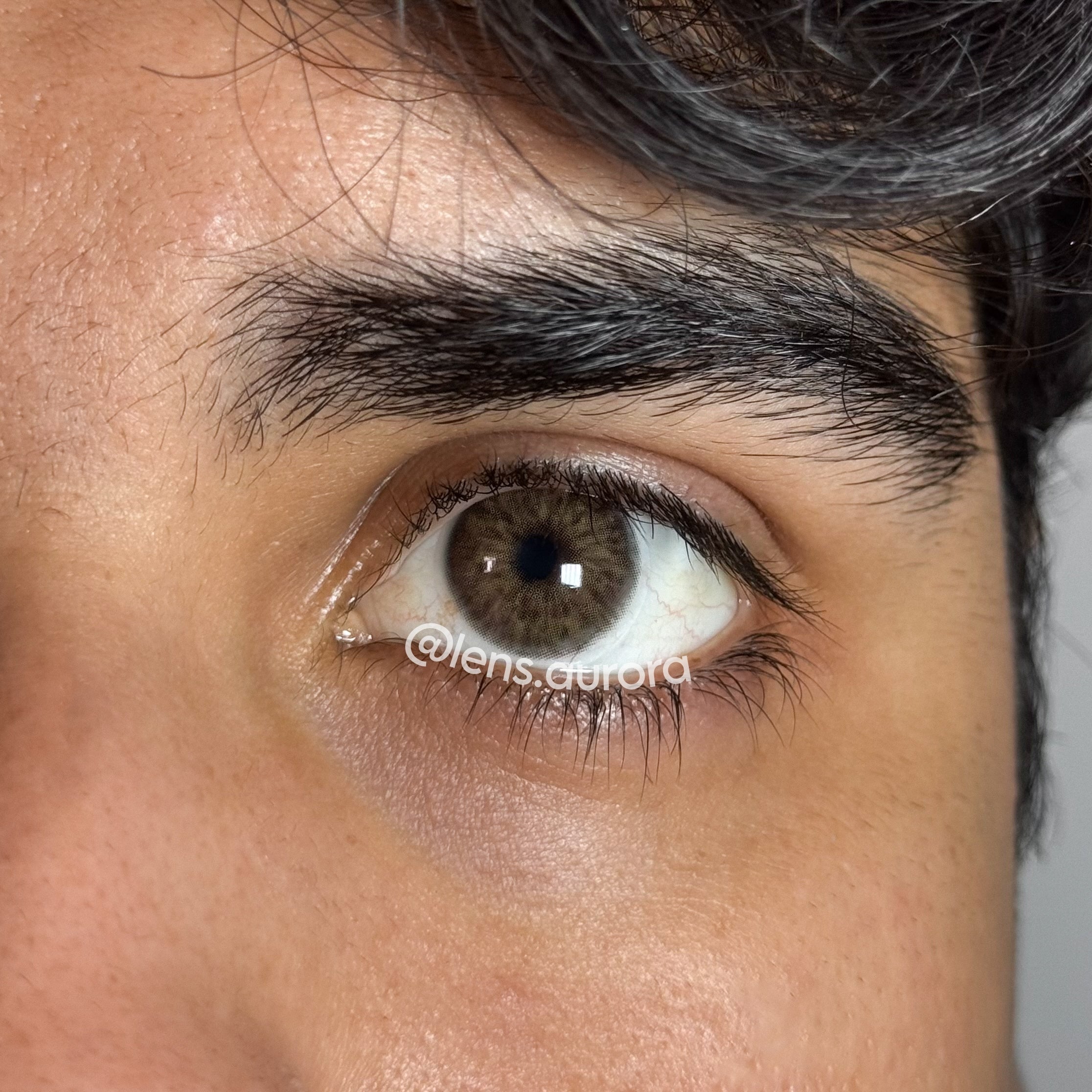 CHAGALL BROWN - URBAN LAYER