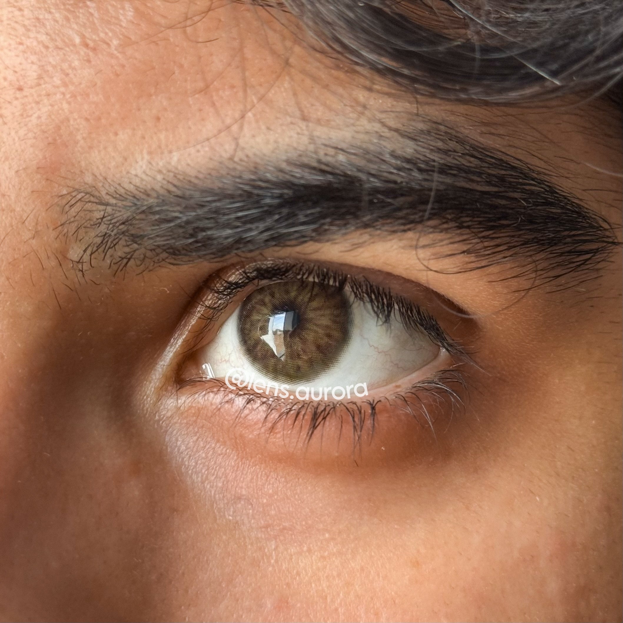 CHAGALL BROWN - URBAN LAYER