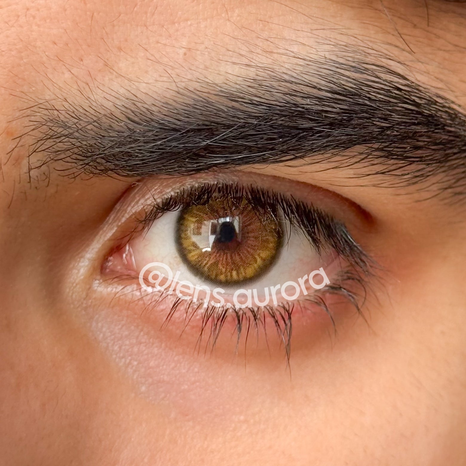 CLEOPATRA GOLD - URBAN LAYER