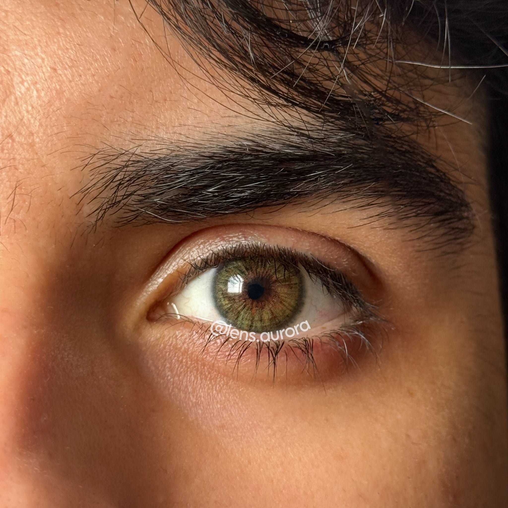 MEMPHIS GREEN - URBAN LAYER