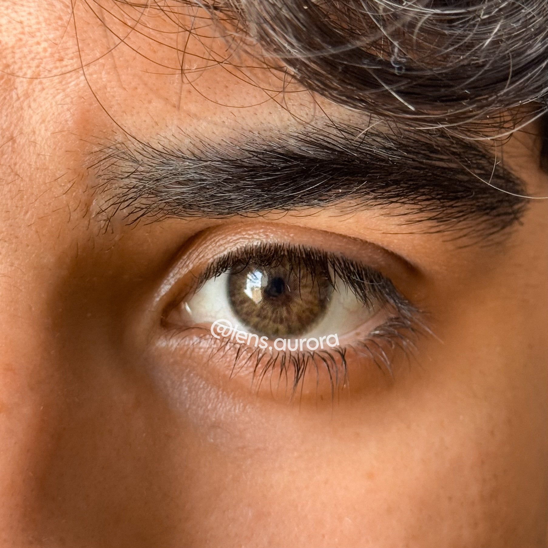 CHAGALL BROWN - URBAN LAYER