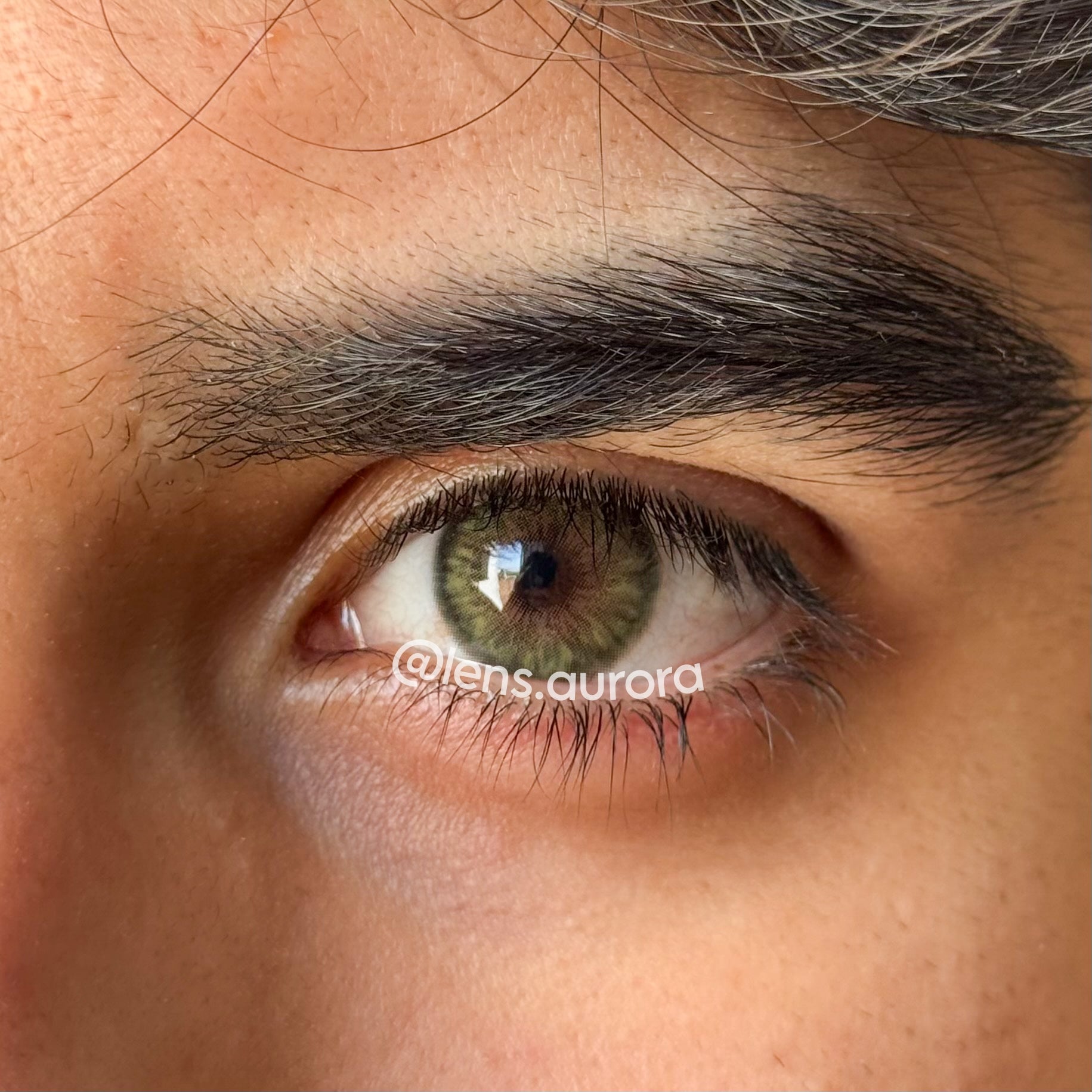 CLEOPATRA GREEN - URBAN LAYER