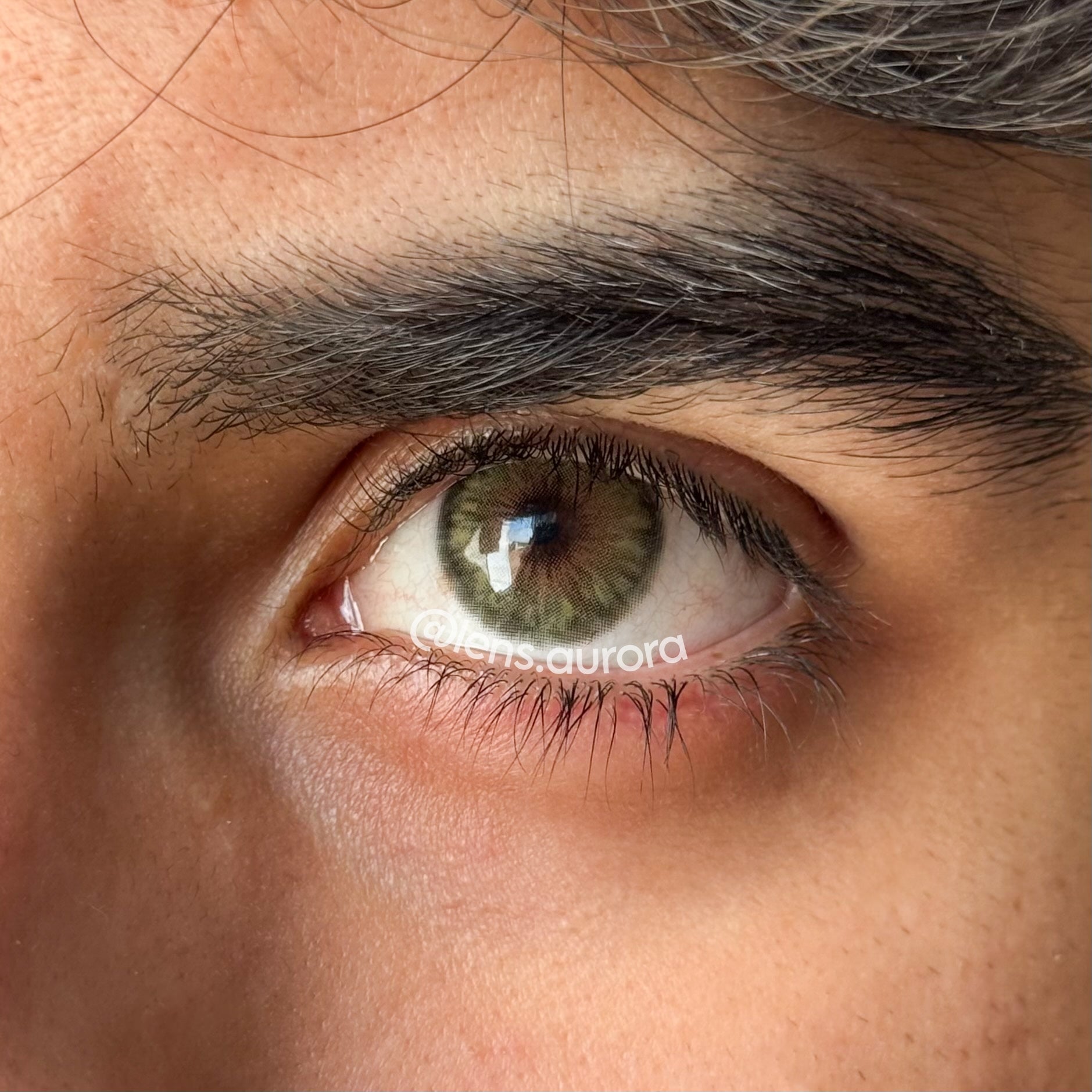 CLEOPATRA GREEN - URBAN LAYER