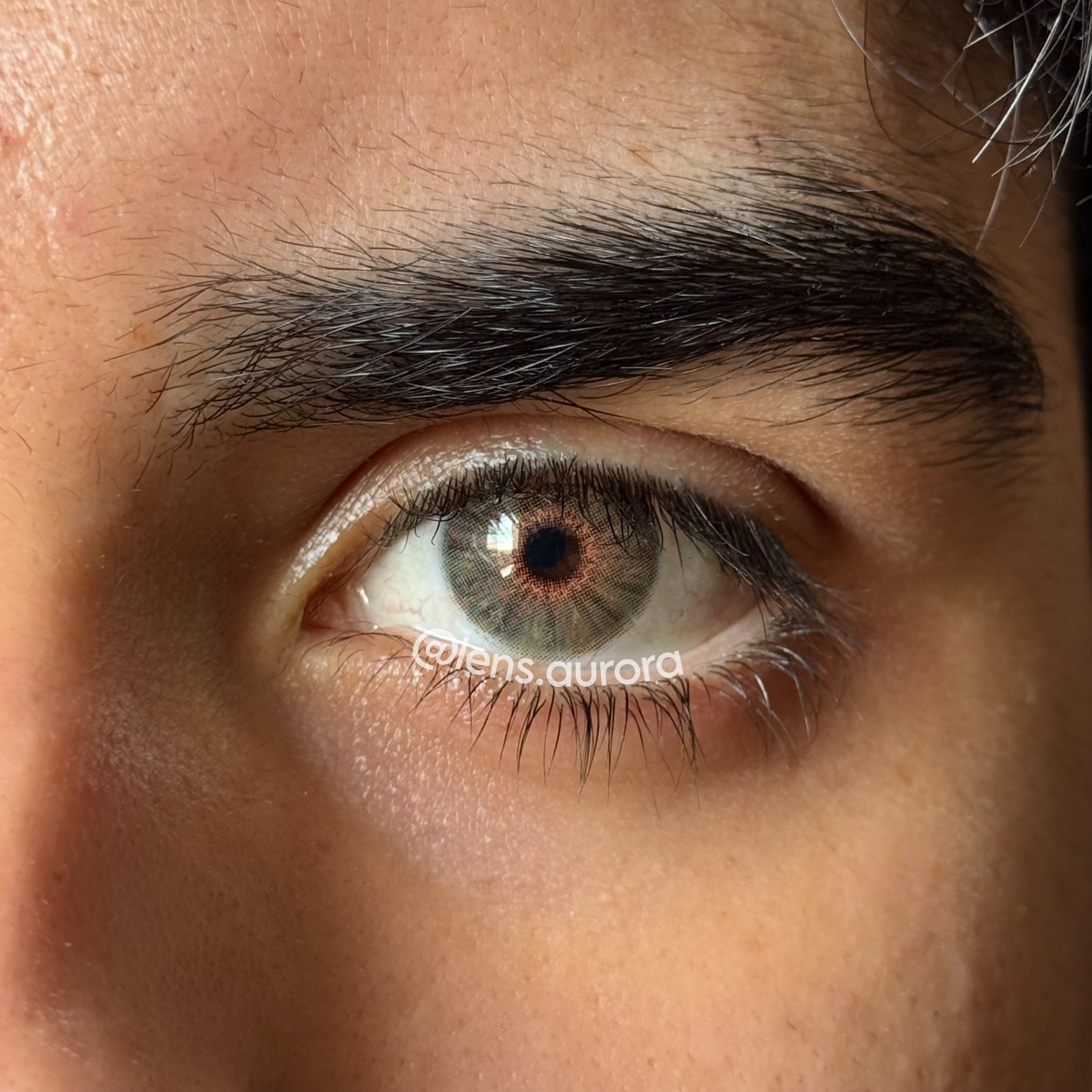 BERKELEY HAZEL - URBAN LAYER