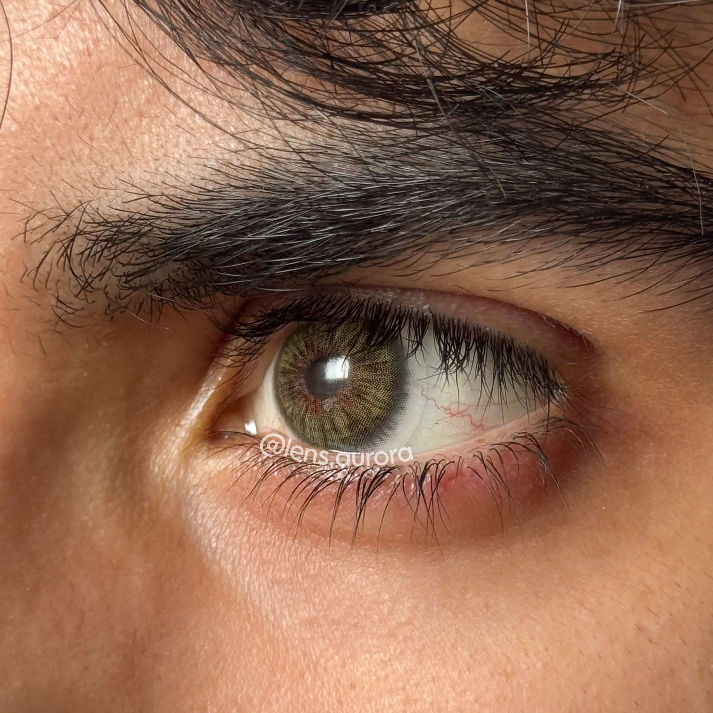 MEMPHIS GREEN - URBAN LAYER