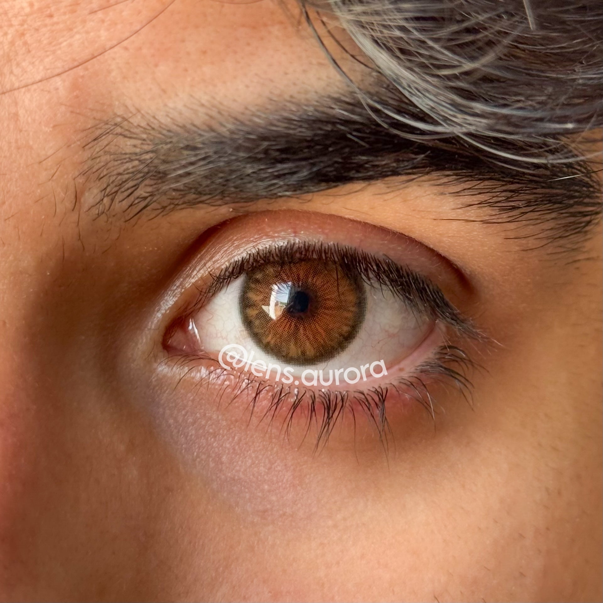 CLEOPATRA HAZEL - URBAN LAYER