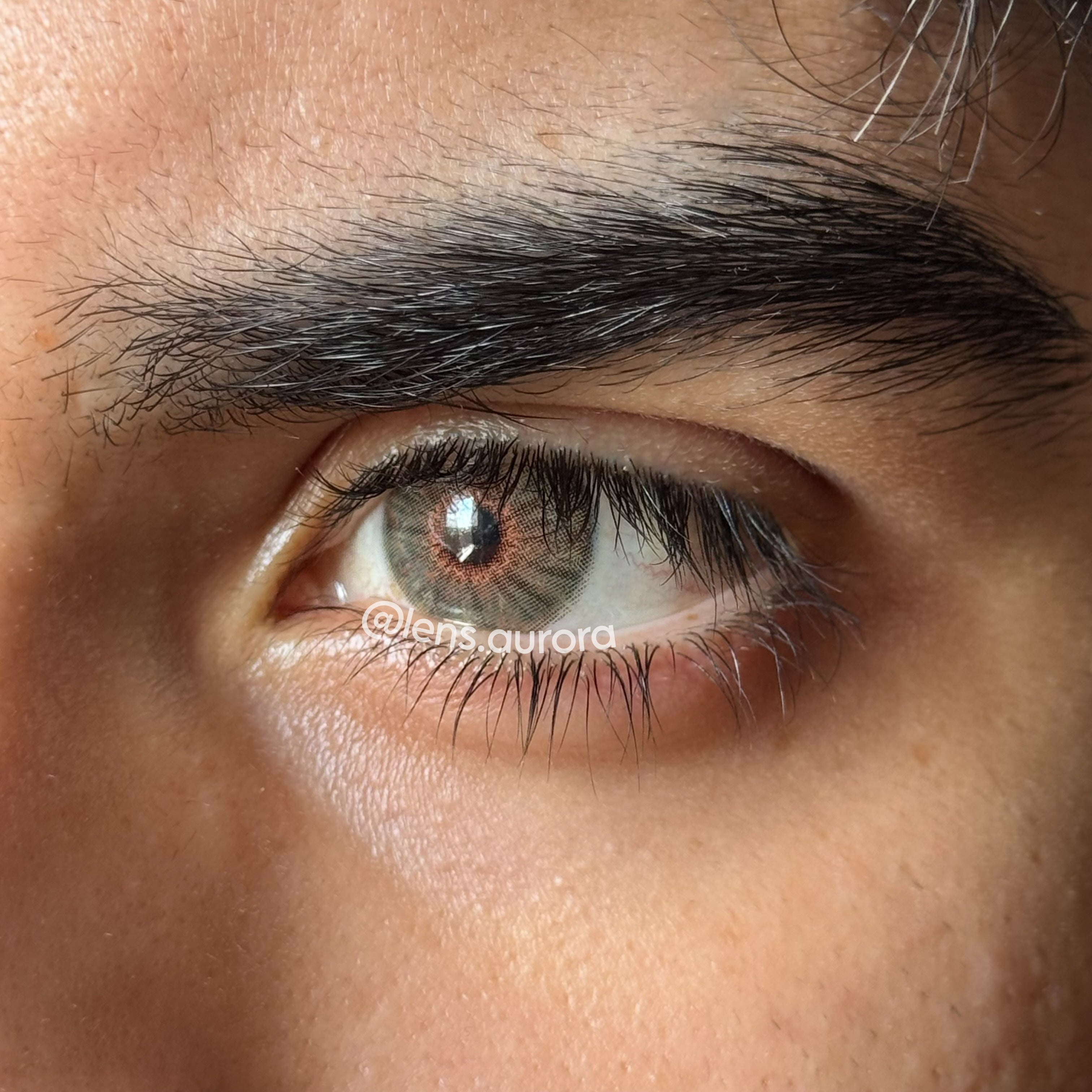 BERKELEY HAZEL - URBAN LAYER