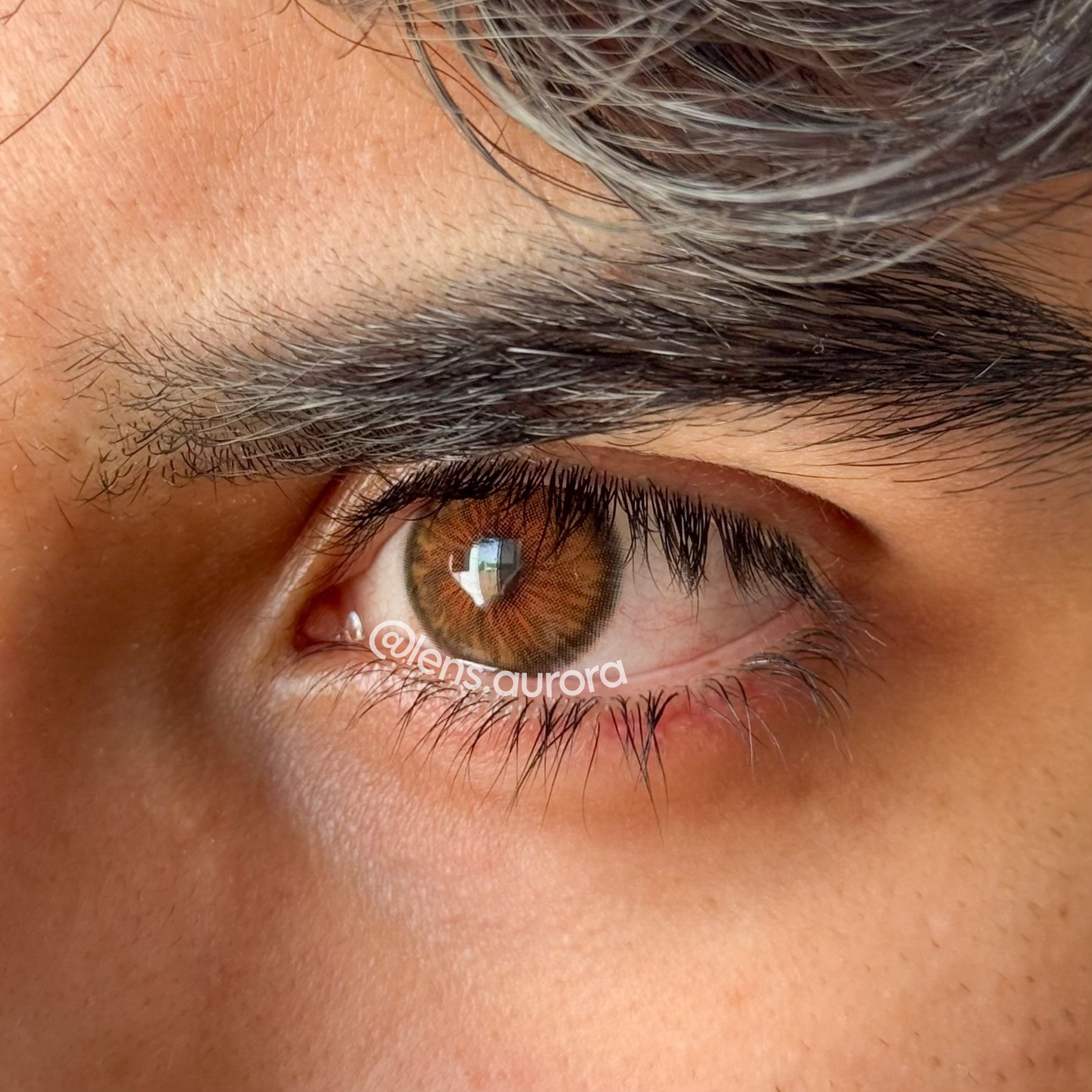 CLEOPATRA HAZEL - URBAN LAYER