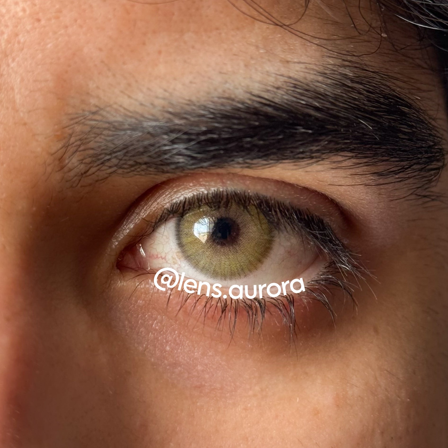 ANGELES N AMBER - URBAN LAYER