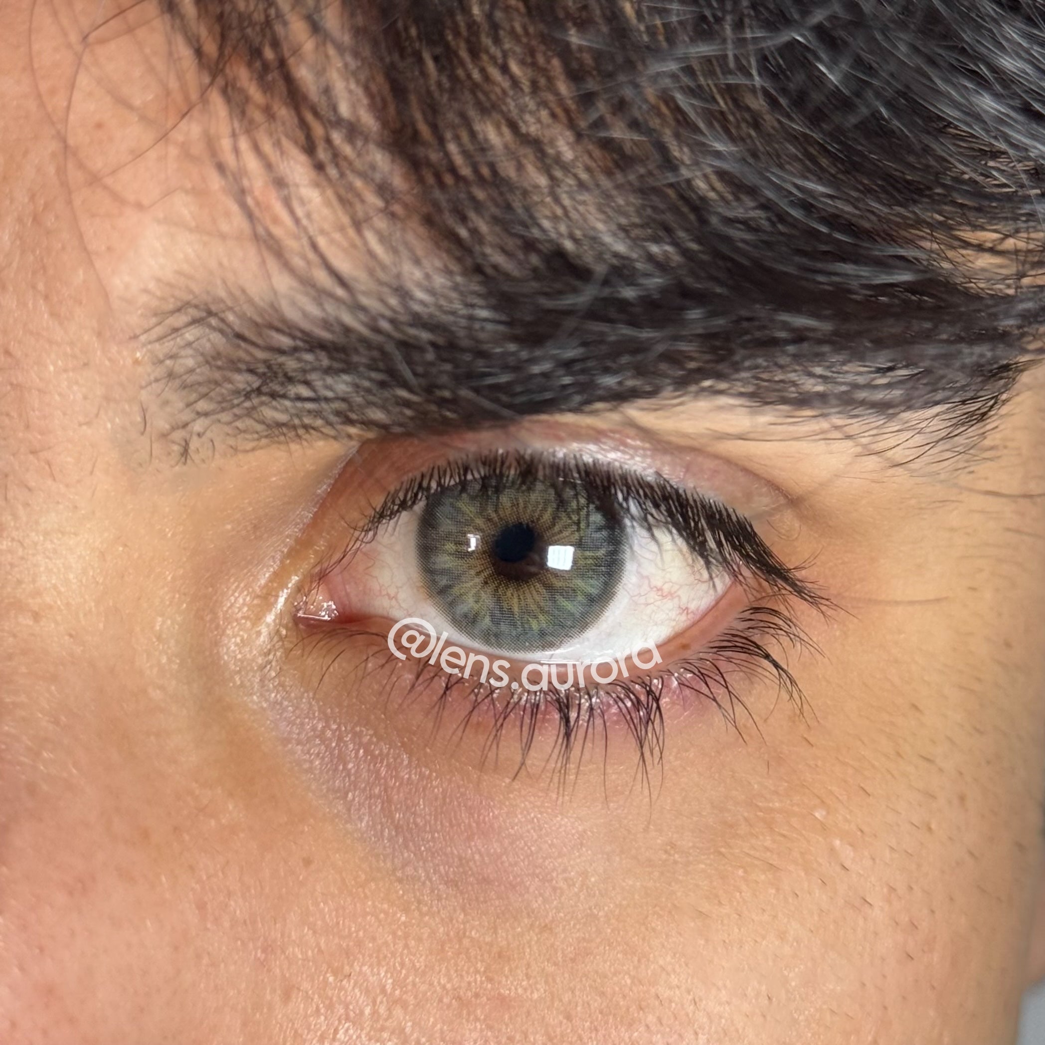 CLEOPATRA GRAY - URBAN LAYER