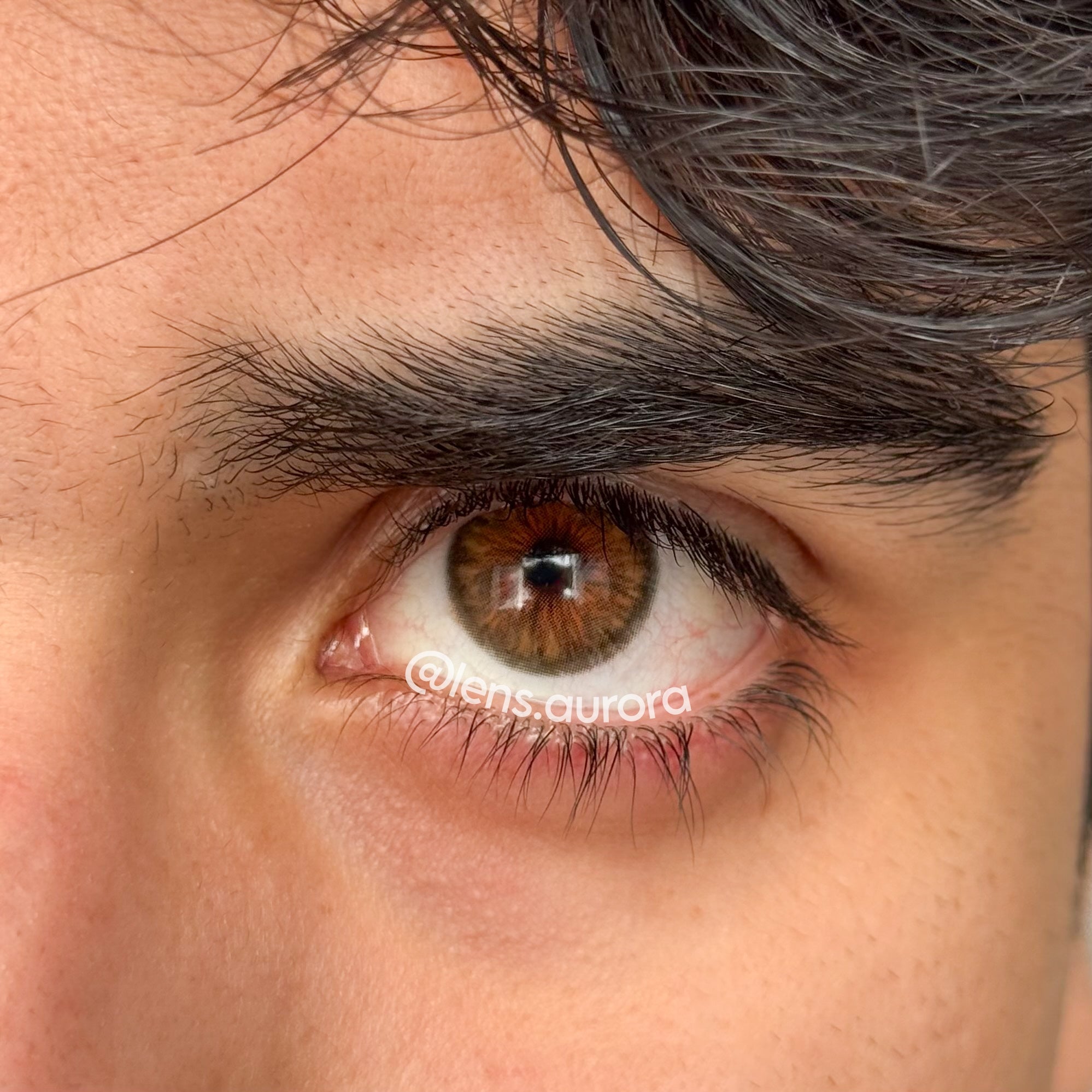 CLEOPATRA HAZEL - URBAN LAYER