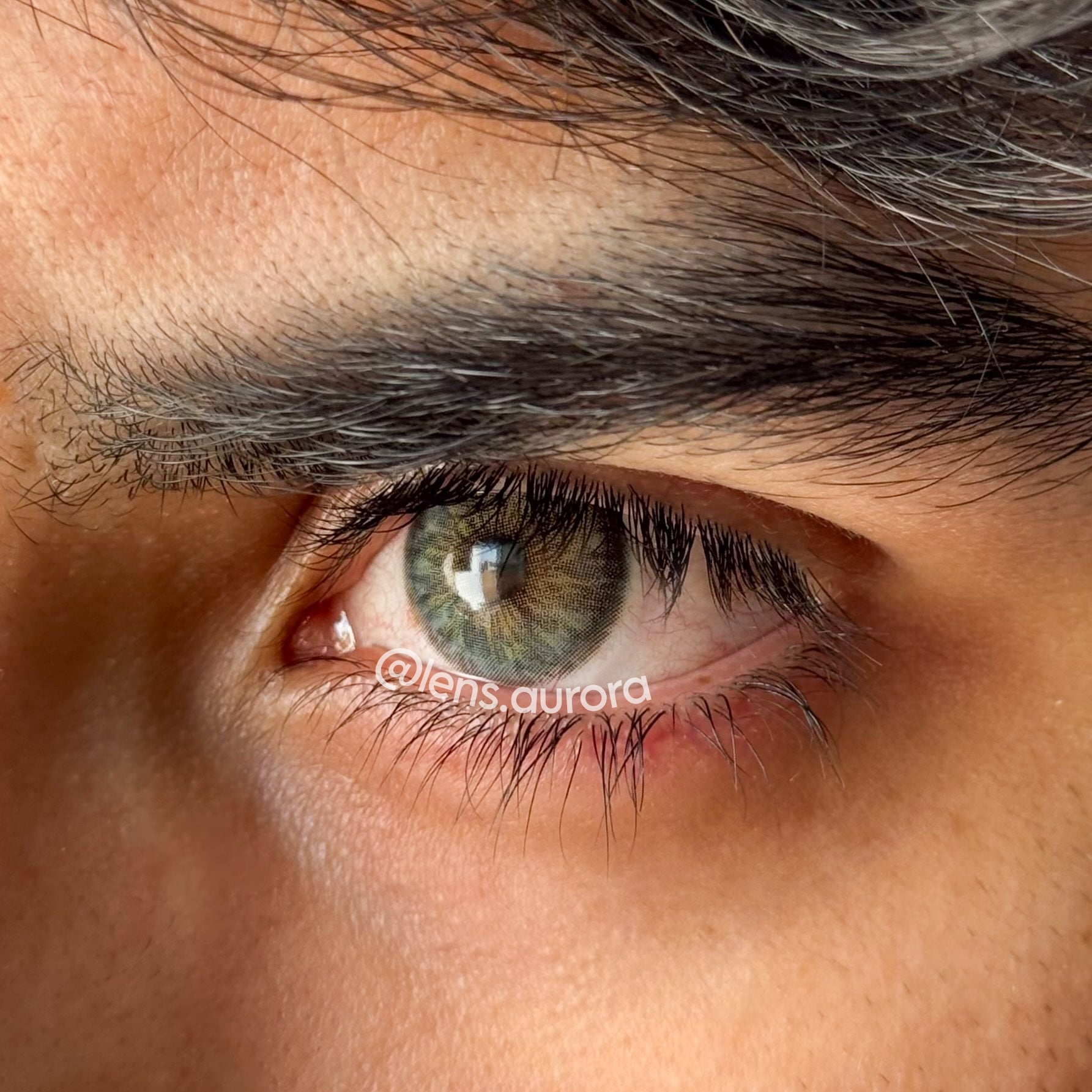 CLEOPATRA GRAY - URBAN LAYER