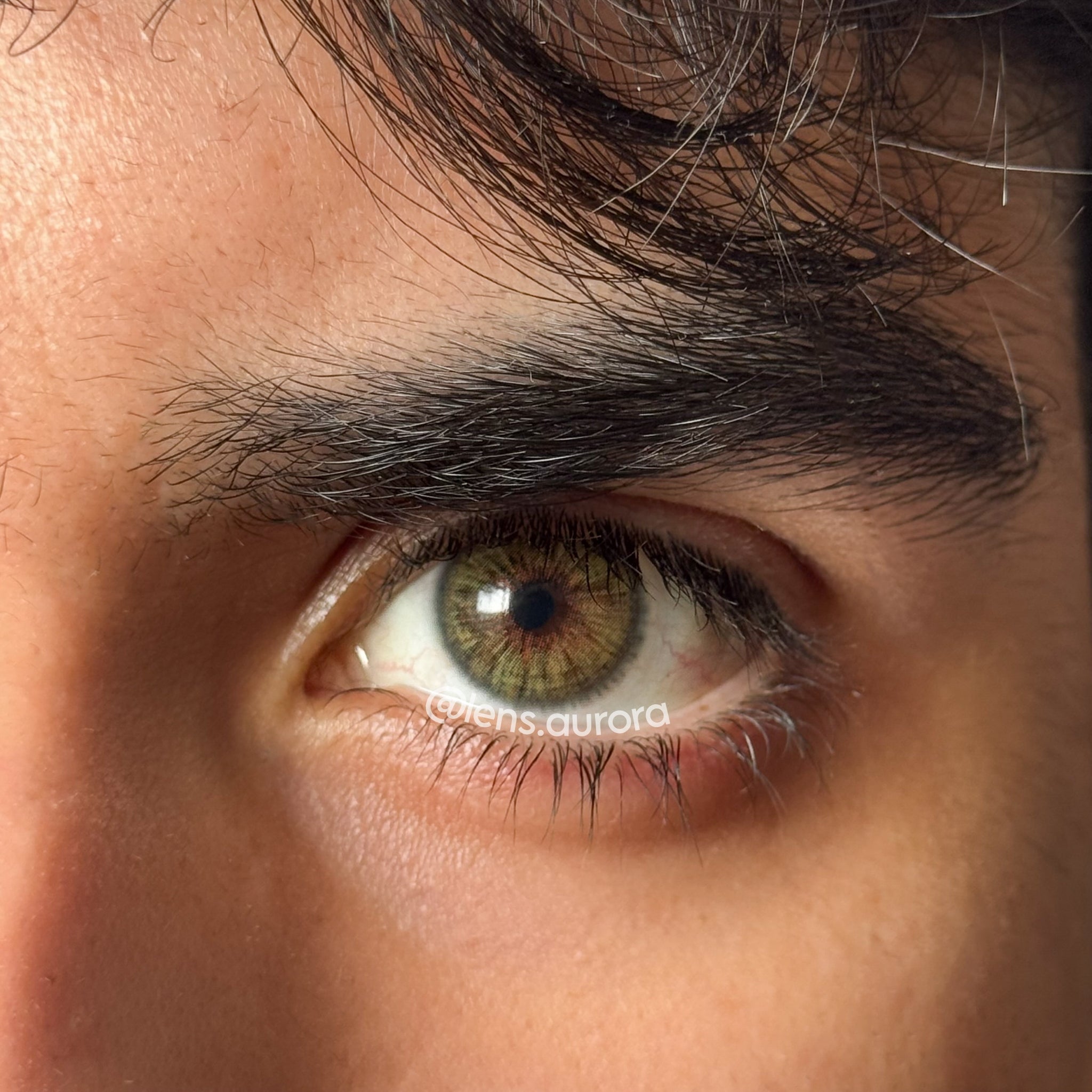 MEMPHIS GREEN - URBAN LAYER