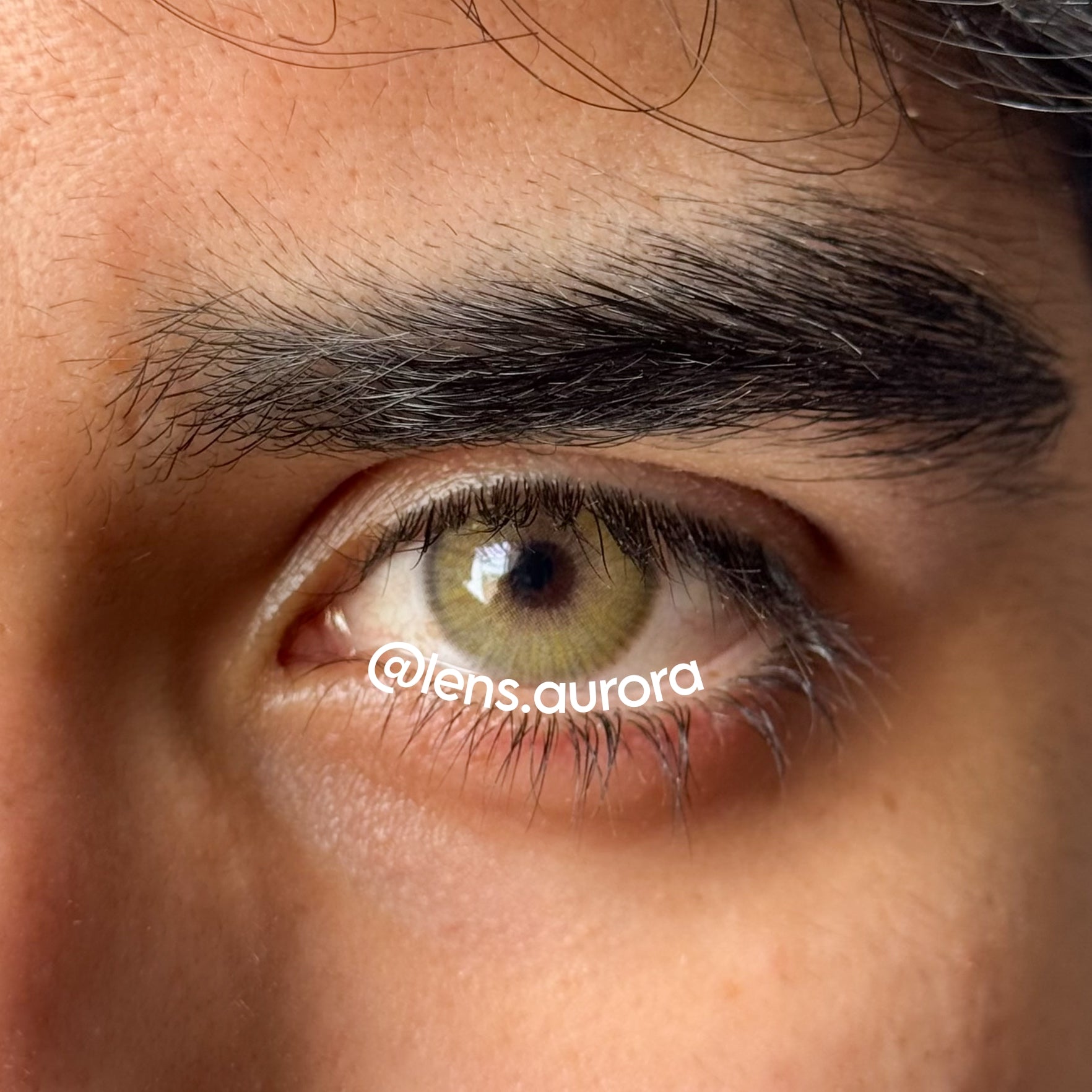 ANGELES N AMBER - URBAN LAYER