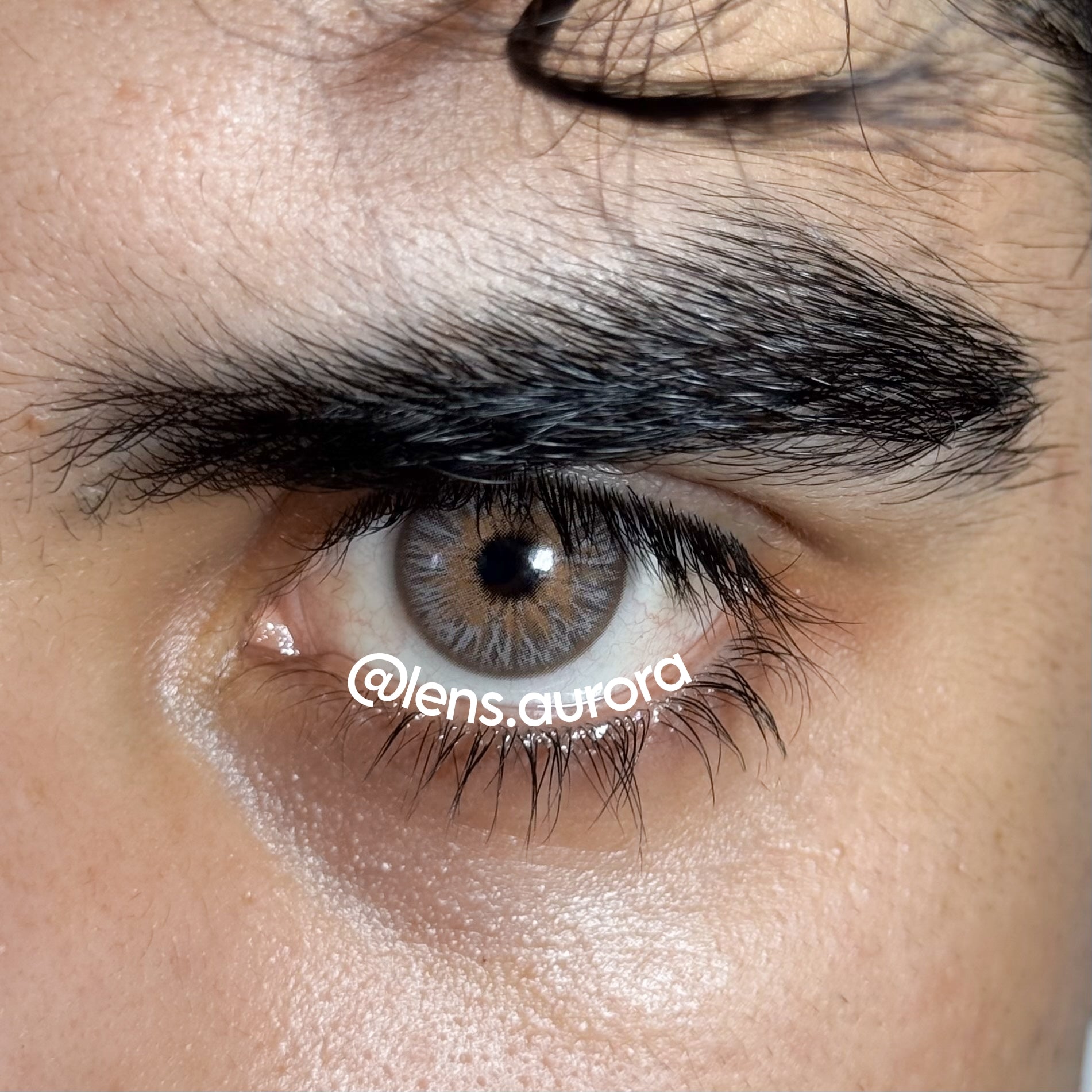 AVATAR BROWN