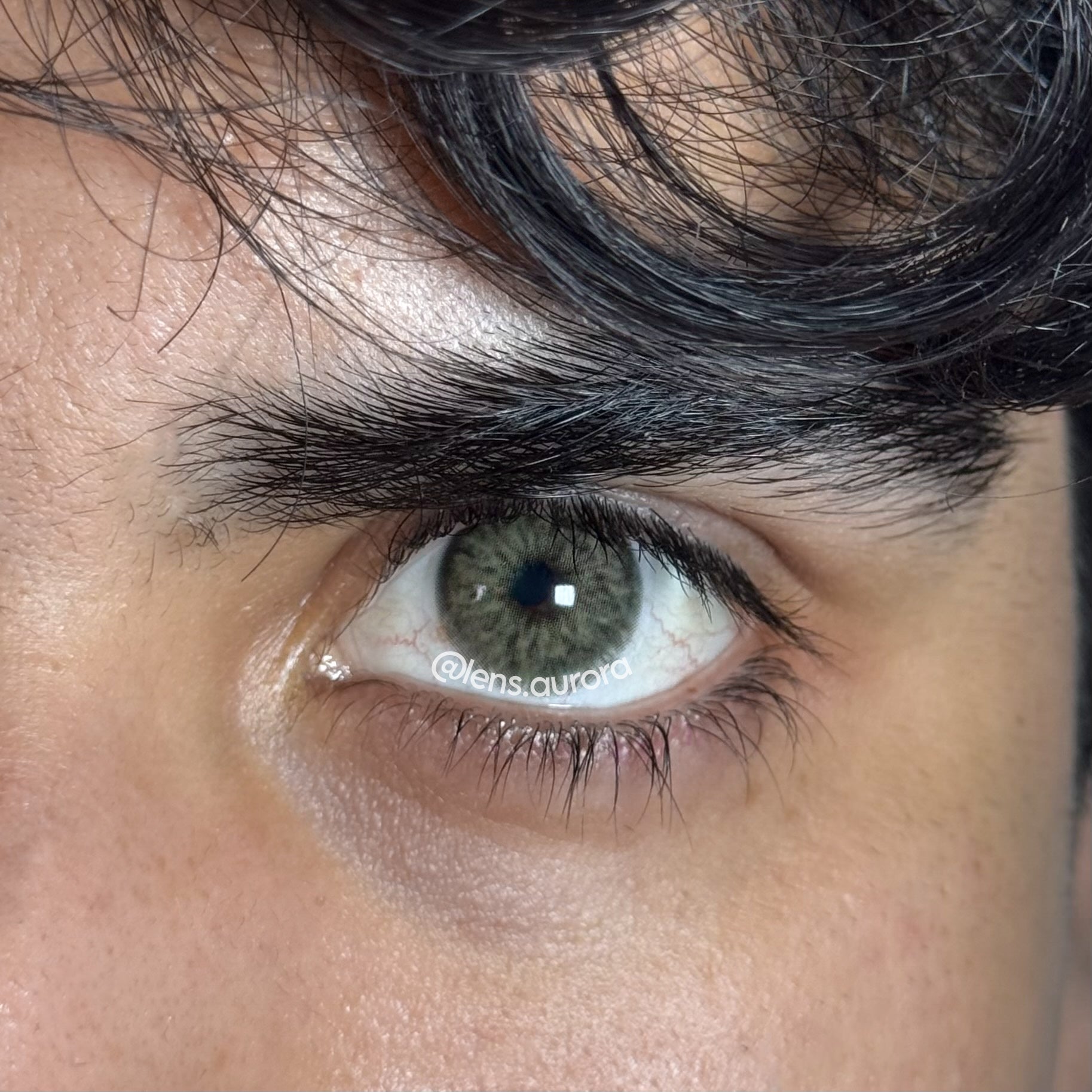 CHAGALL GREEN - URBAN LAYER