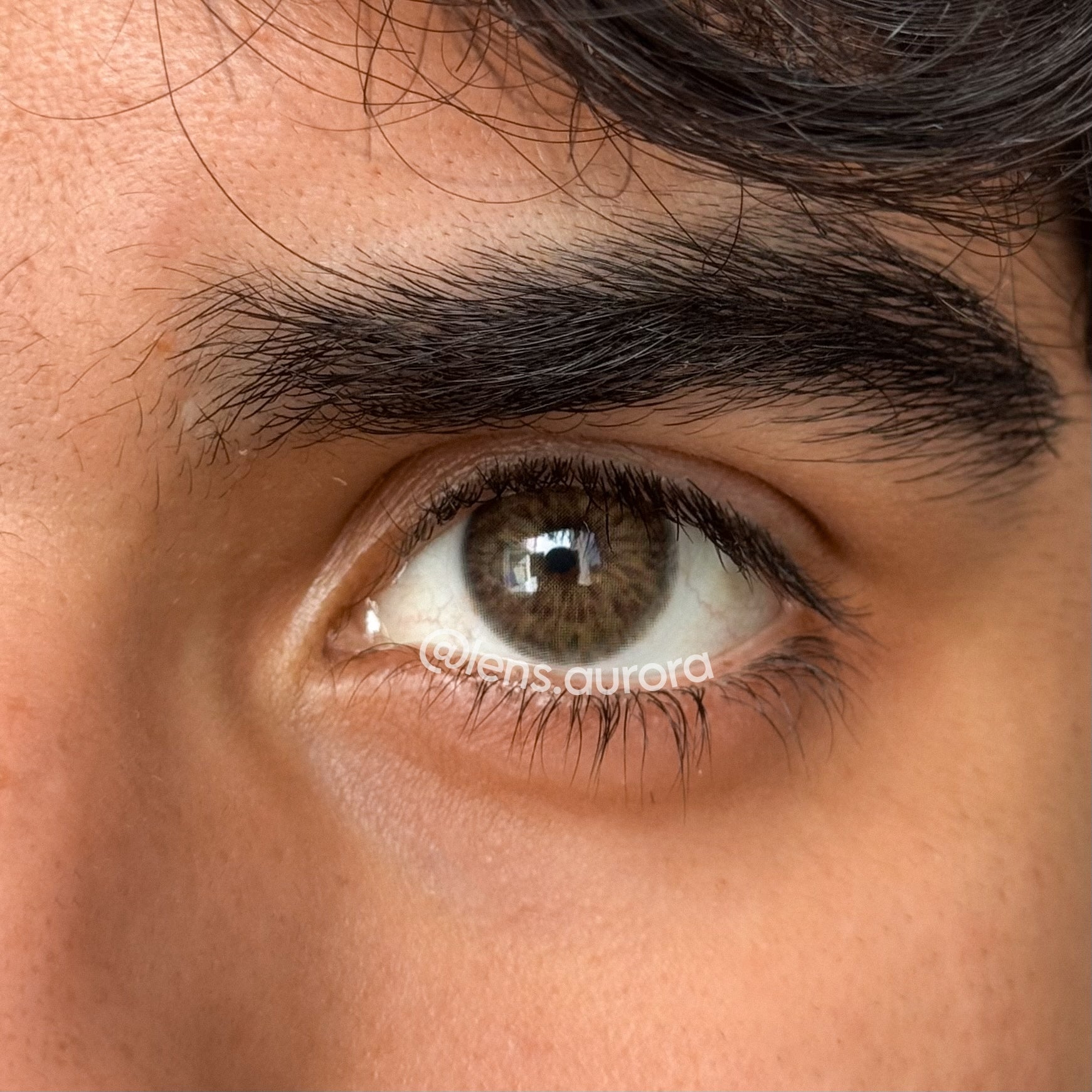 CHAGALL BROWN - URBAN LAYER