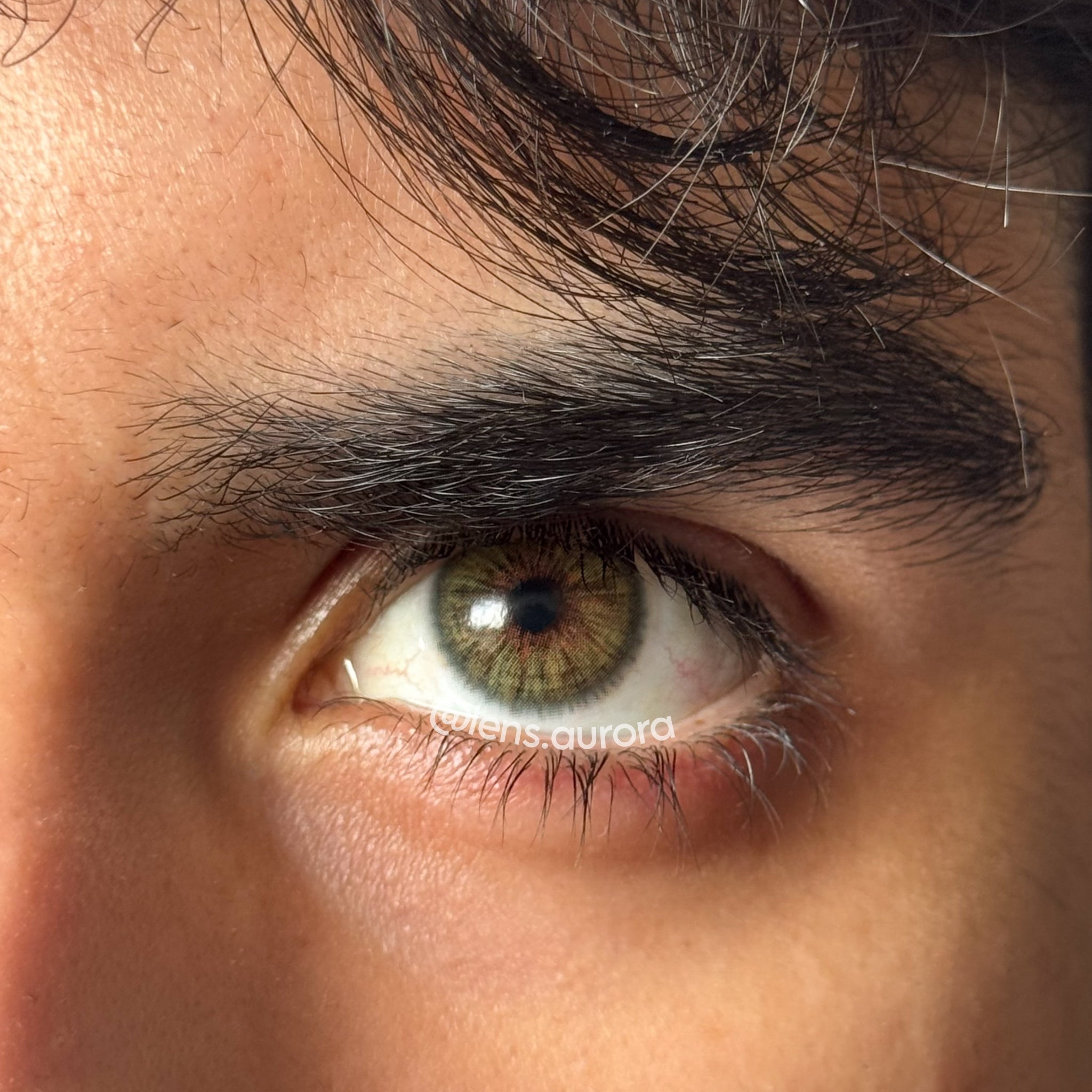 MEMPHIS GREEN - URBAN LAYER