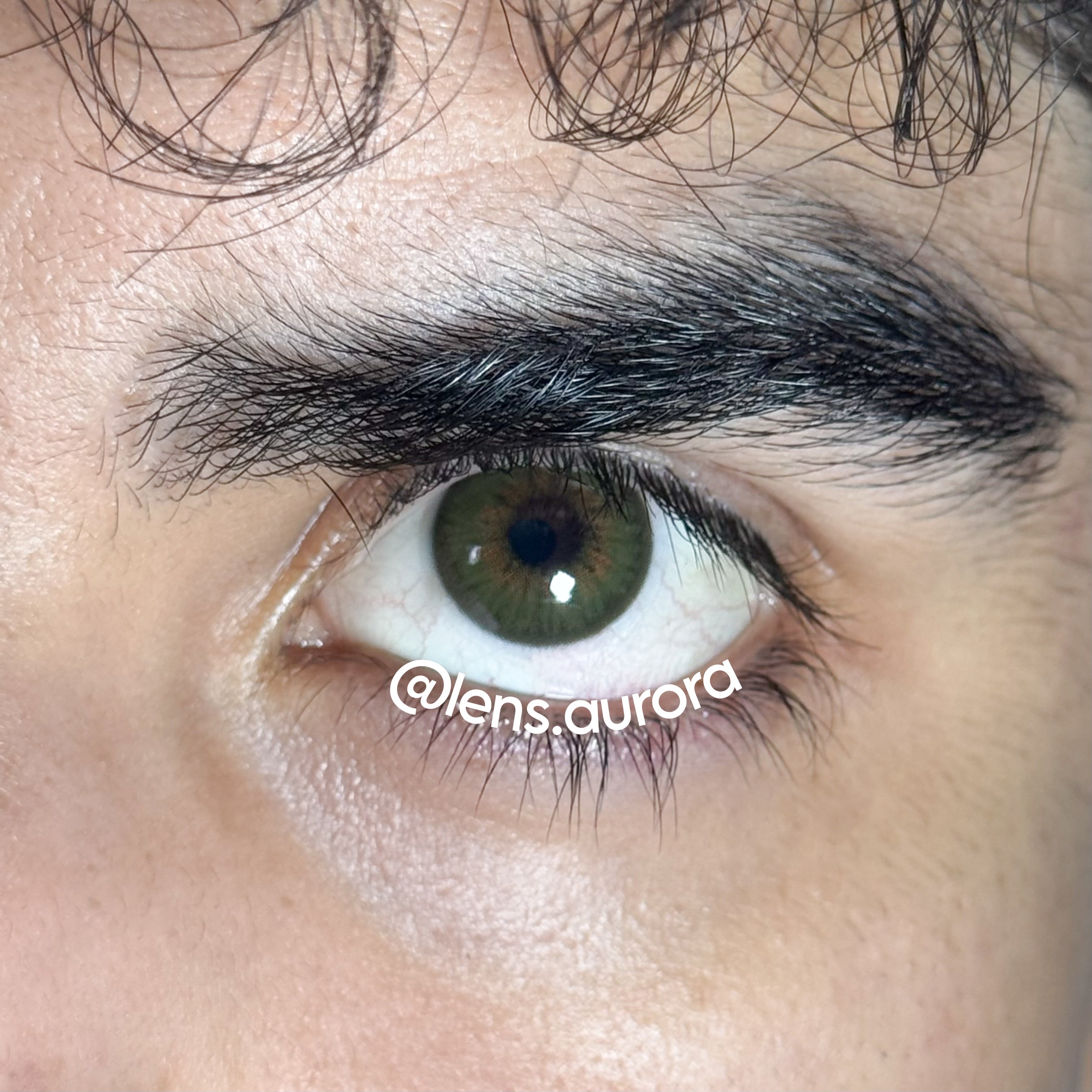 MOCHA GREEN