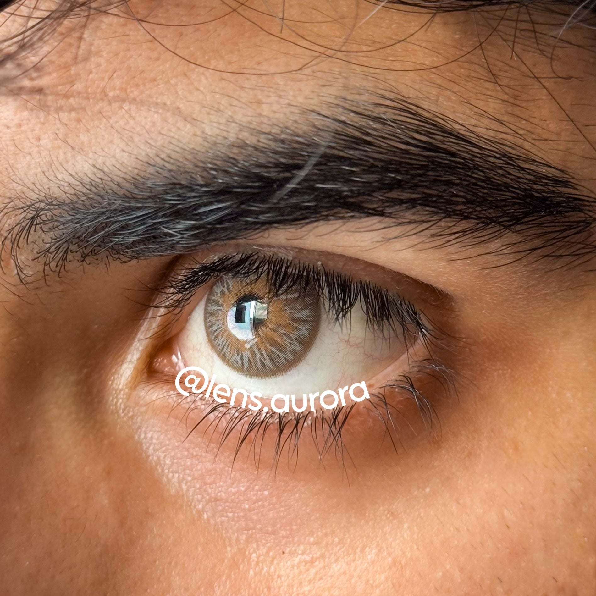 AVATAR BROWN