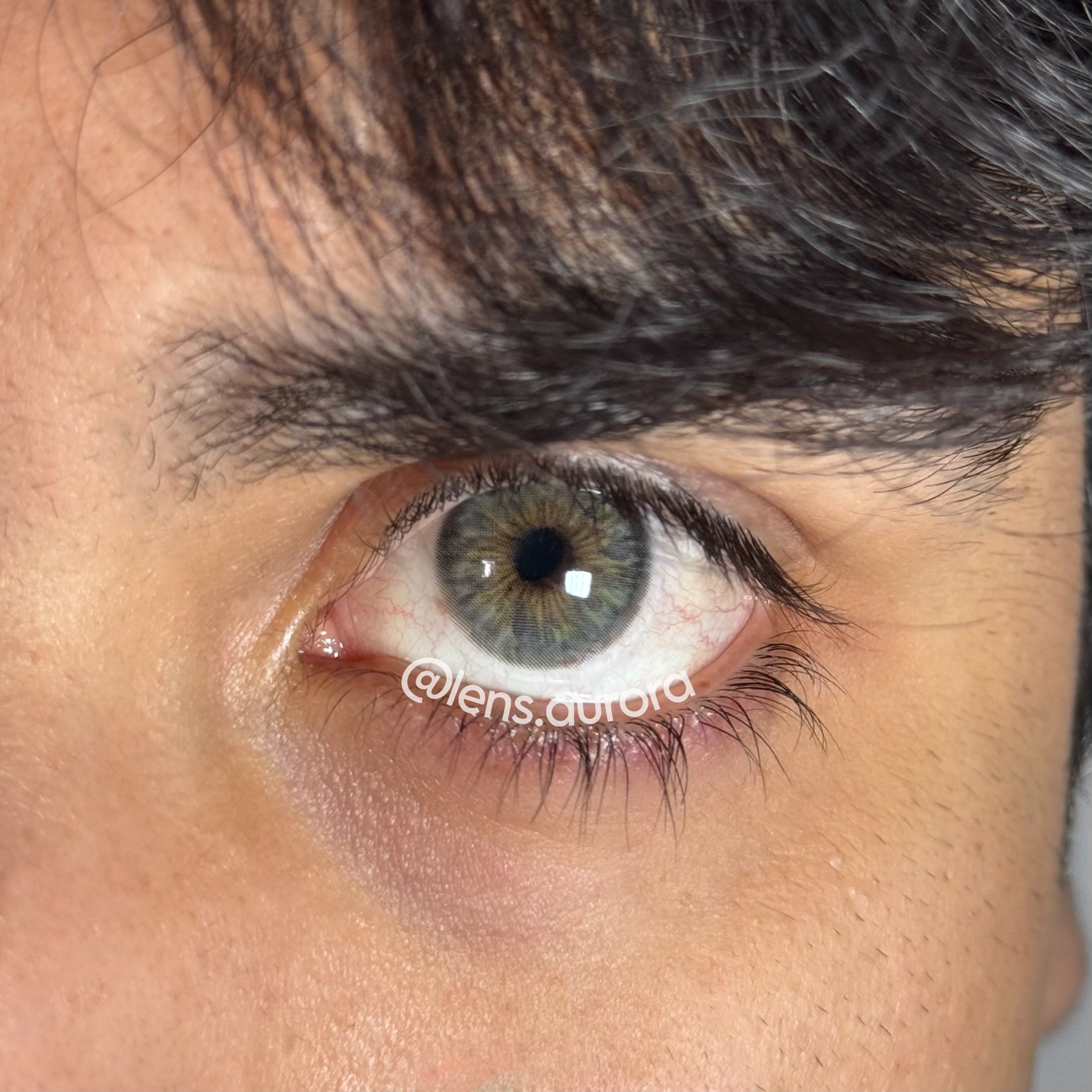 CLEOPATRA GRAY - URBAN LAYER