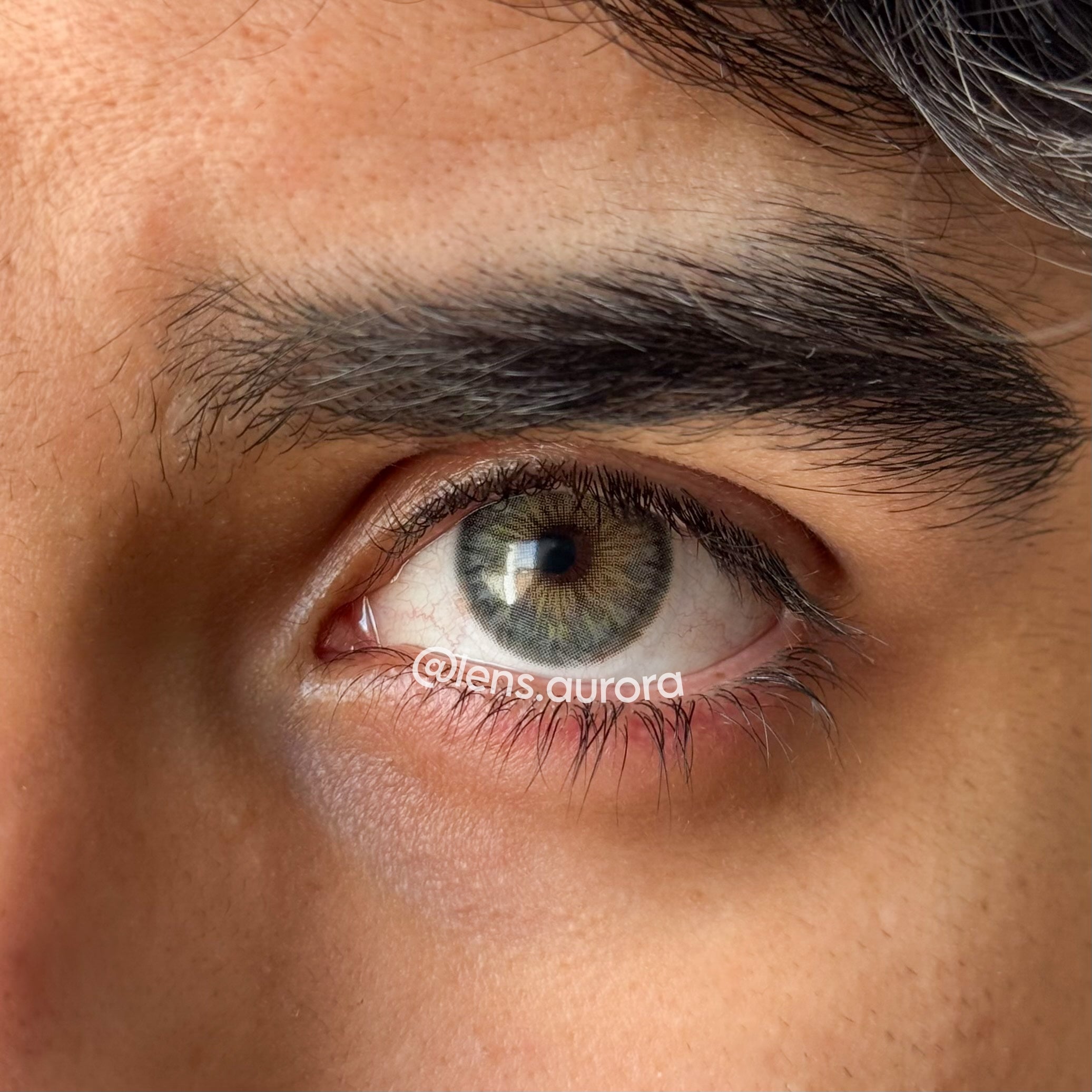 CLEOPATRA GRAY - URBAN LAYER