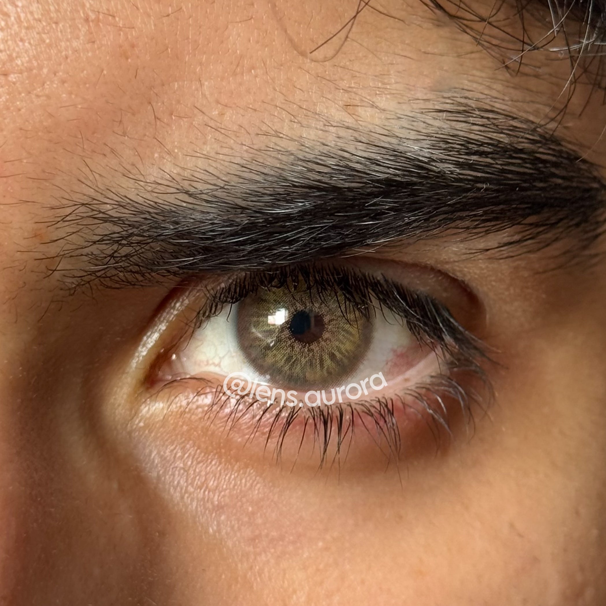 BREEZE HAZEL - URBAN LAYER