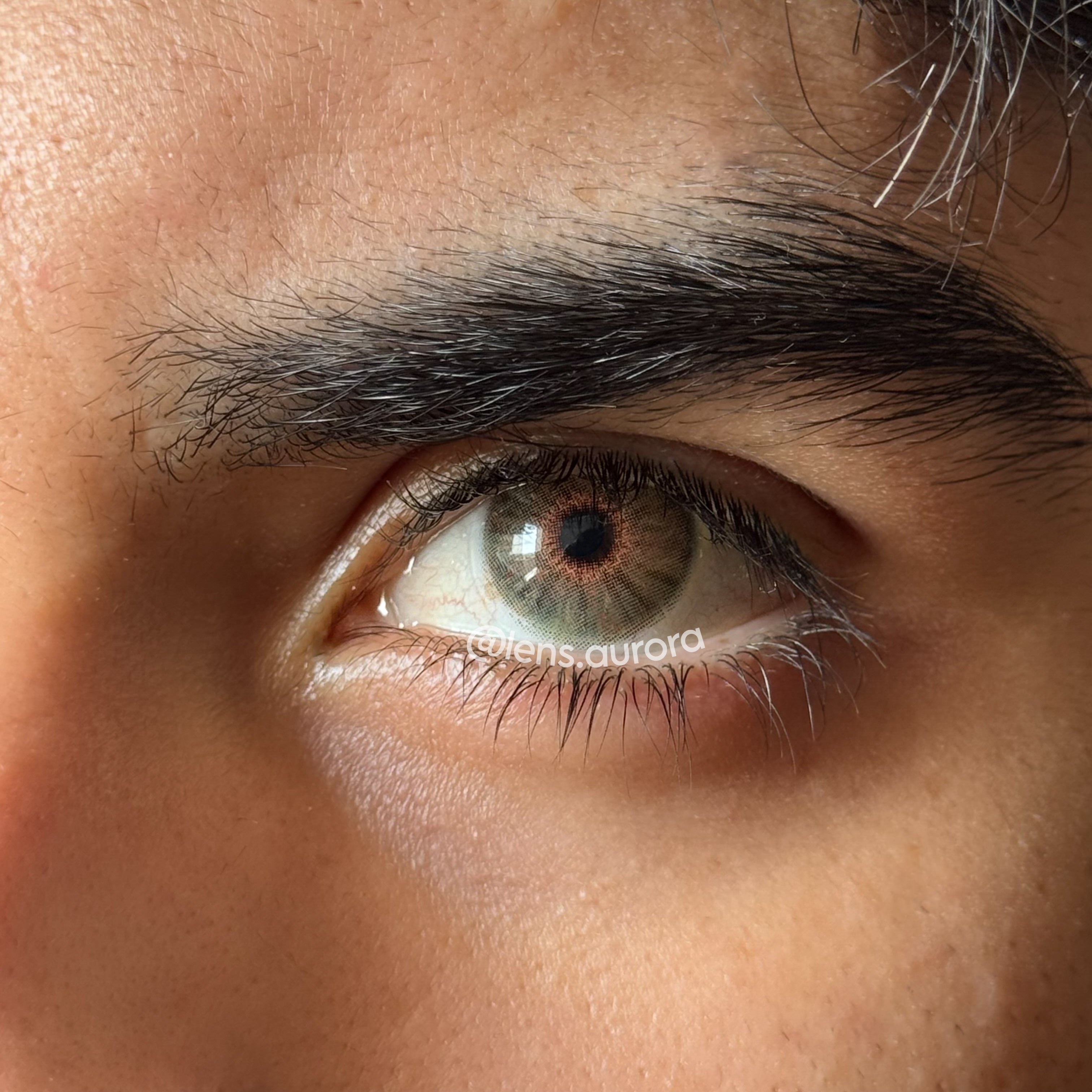 BERKELEY HAZEL - URBAN LAYER