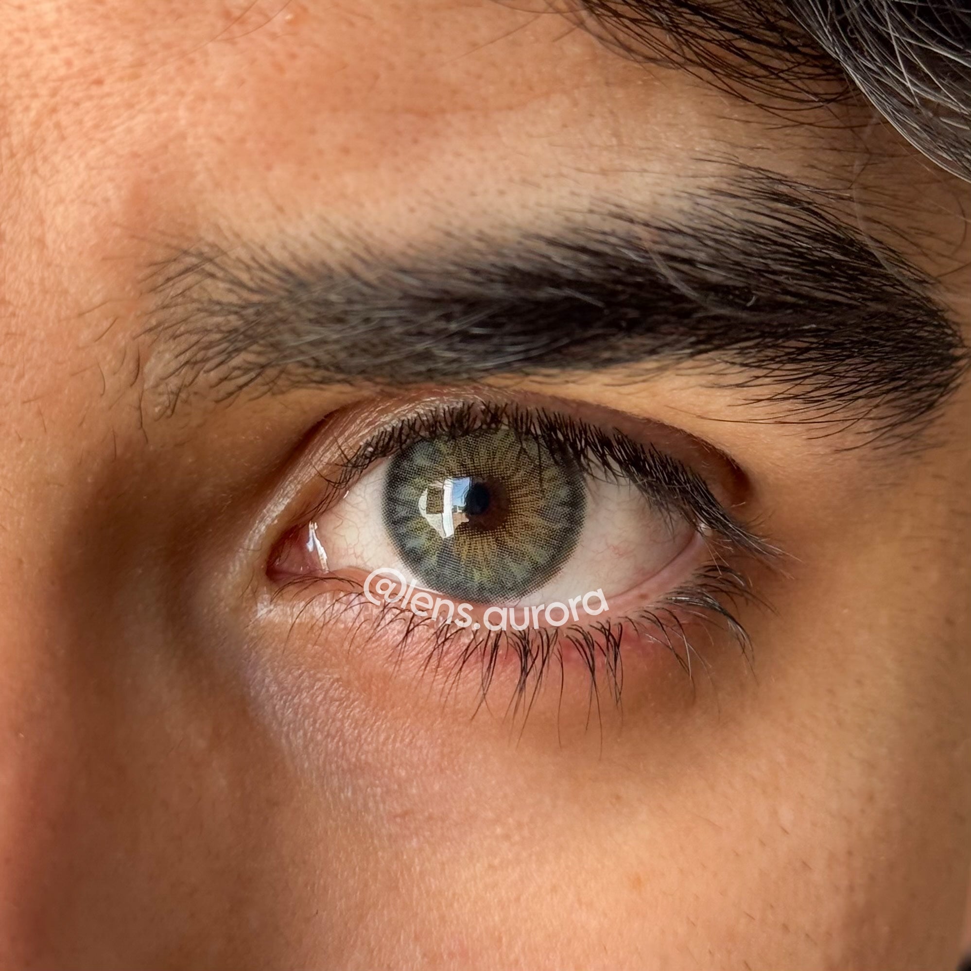 CLEOPATRA GRAY - URBAN LAYER