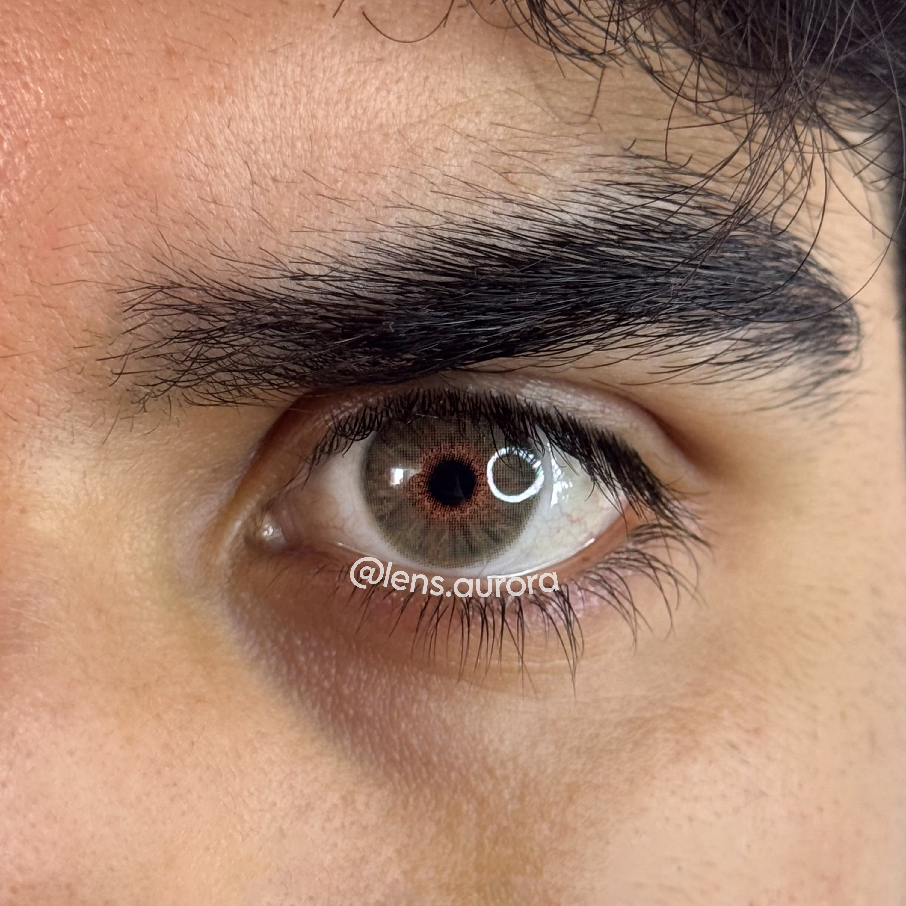 BERKELEY HAZEL - URBAN LAYER